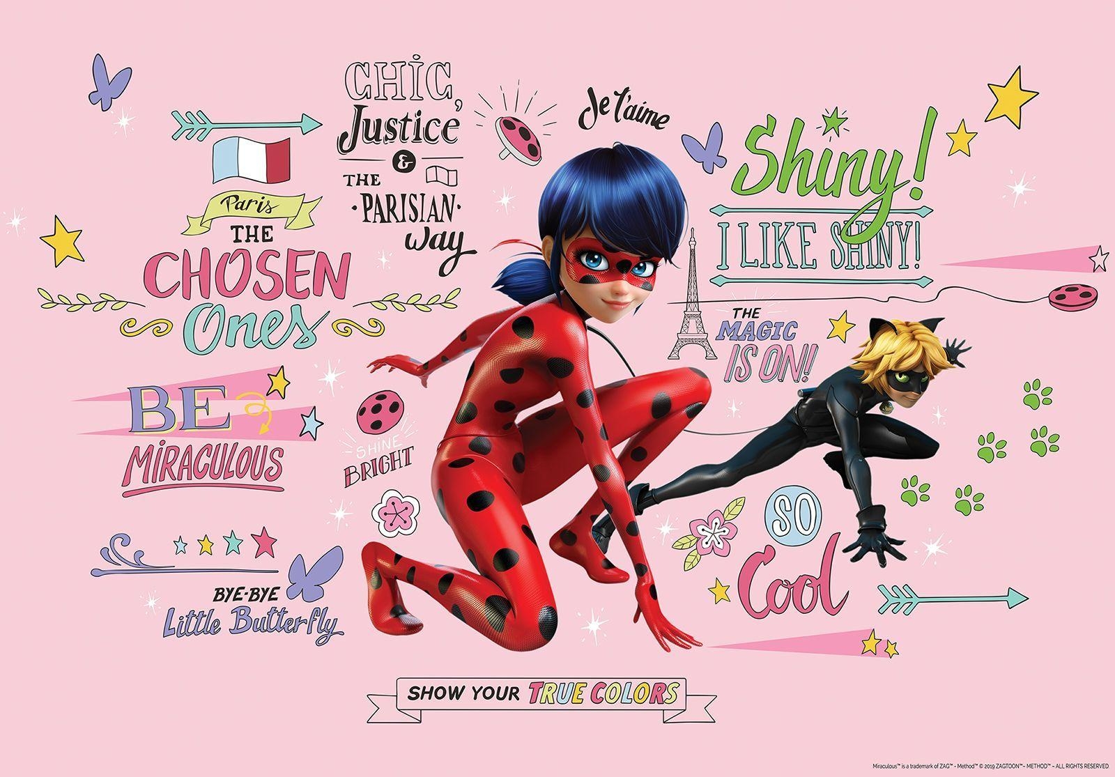 Ladybug, Cat Noir, Miraculous, online kaufen, Bild, 1600x1120 HD Desktop