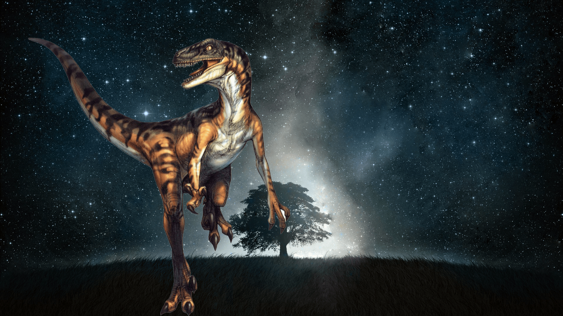 Velociraptor, Tiere, Dinosaurier, Bild, Hintergrund, 1920x1080 Full HD Desktop