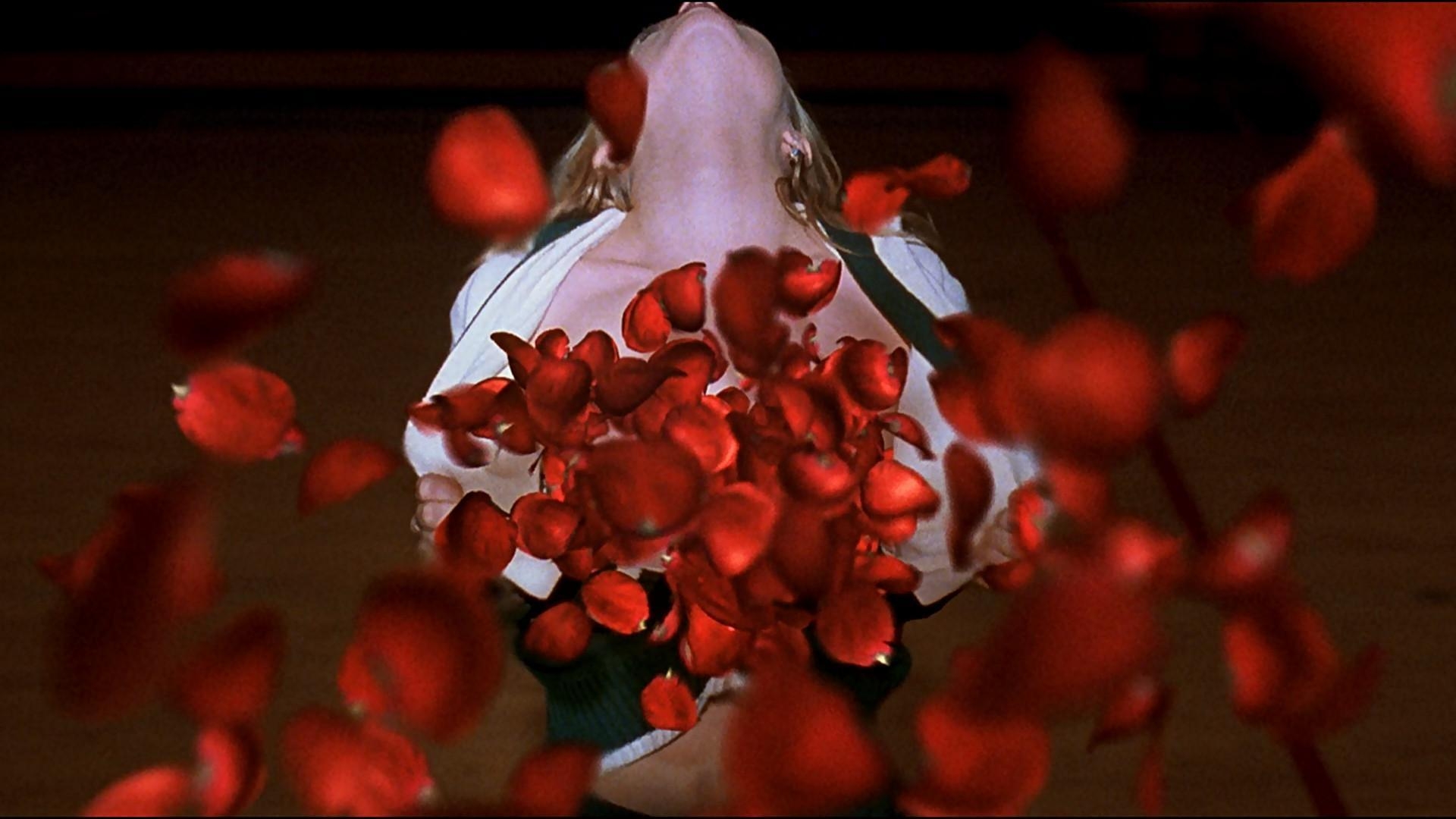 American Beauty, ikonisch, Kinofilm, Schönheit, Drama, 1920x1080 Full HD Desktop