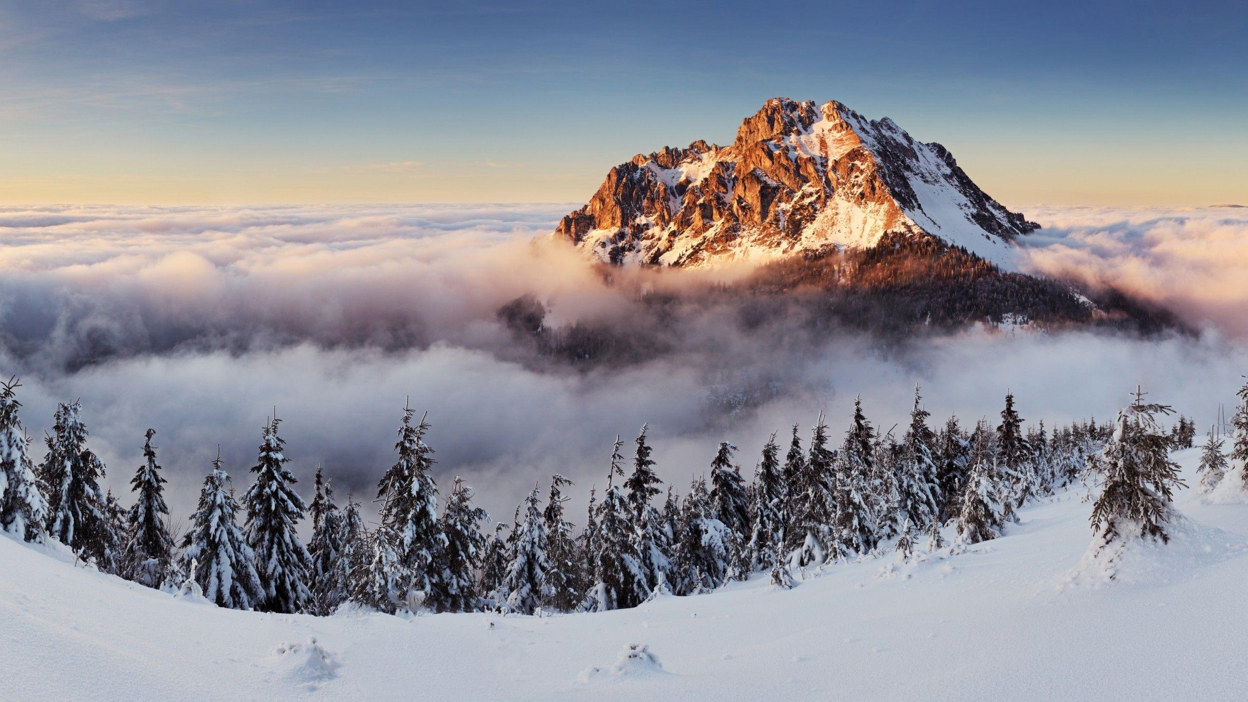 Slowakei, 4K, Gebirge, Nebel, Schnee, 2560x1440 HD Desktop