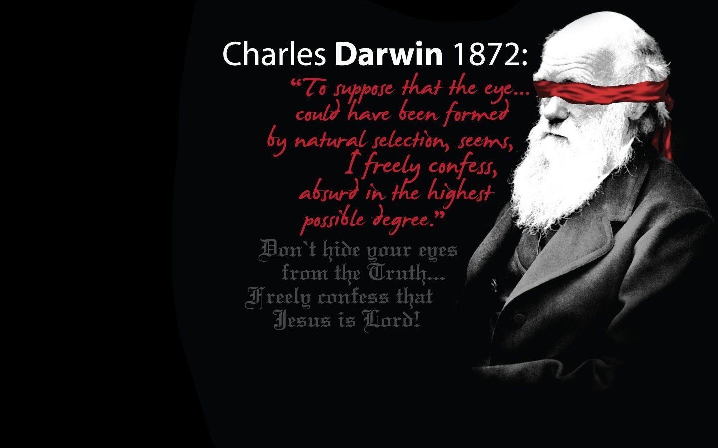 Darwin, Evolution, Wissenschaft, Kontroversen, Denkfehler, 1440x900 HD Desktop