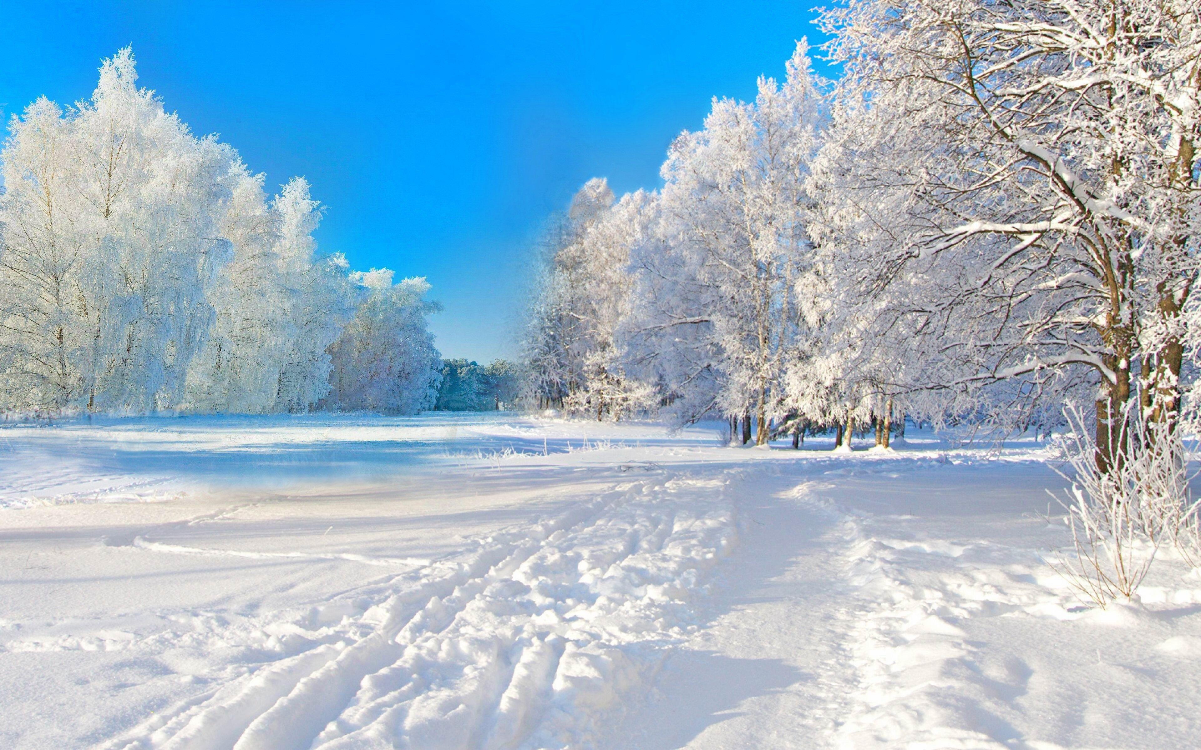 Winter, HD, Hintergrund, Natur, Frost, 3840x2400 4K Desktop