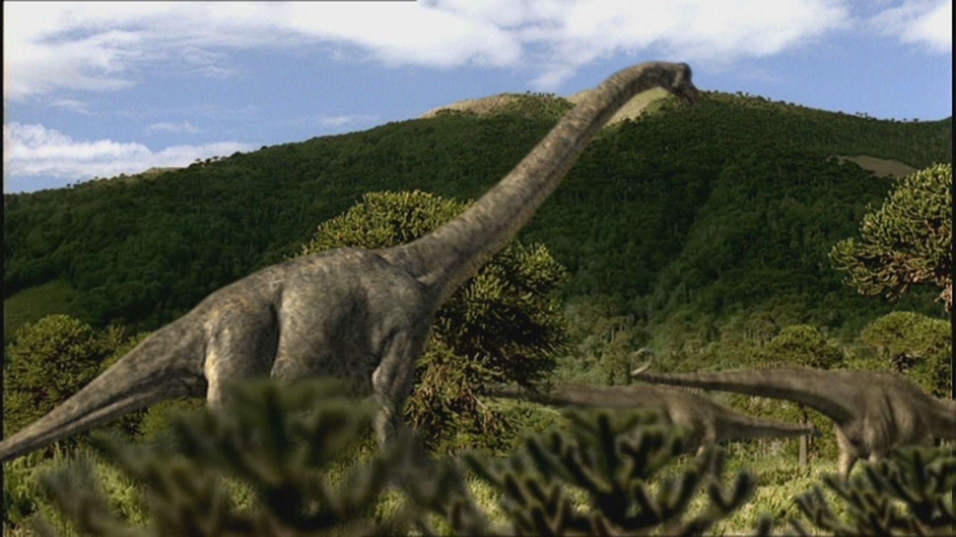 Brachiosaurus, Jura, Park, blau, Wallpaper, 1920x1080 Full HD Desktop