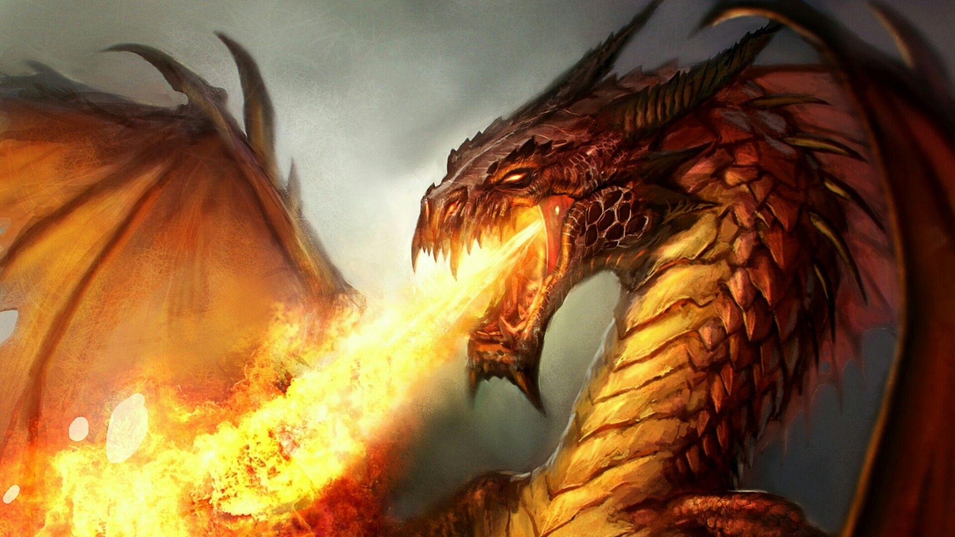 Feueratmender Drache, Wallpaper, Studio, Fantasy, Mythologie, 1920x1080 Full HD Desktop