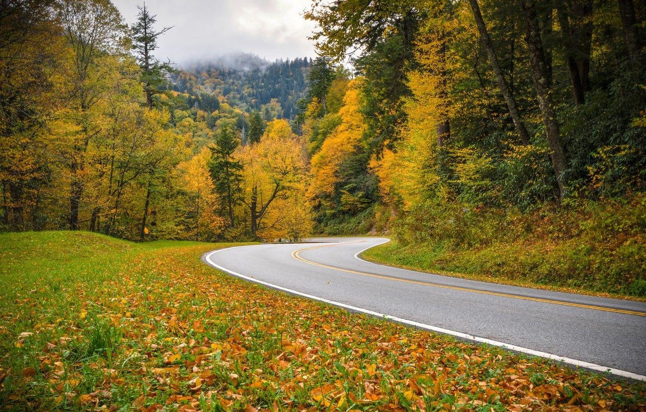 Straße, Herbstwald, Tennessee, Nationalpark, Fotografie, 1340x850 HD Desktop