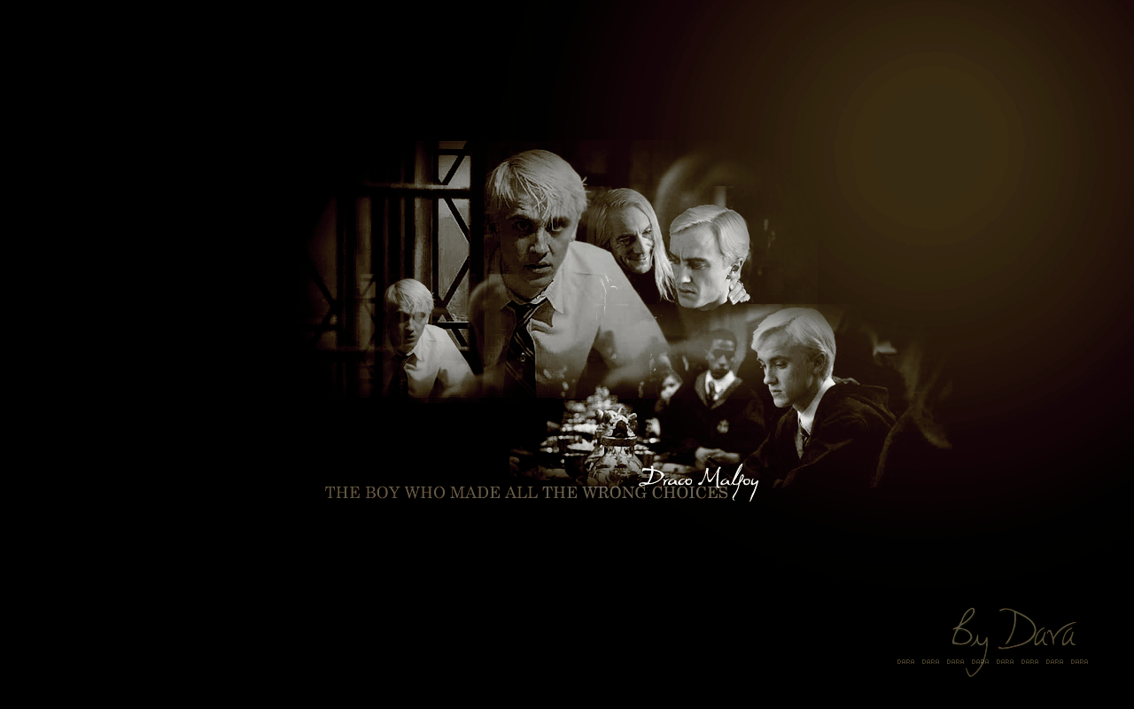 Draco, Hintergrund, Slytherin, Harry Potter, Magie, 1280x800 HD Desktop