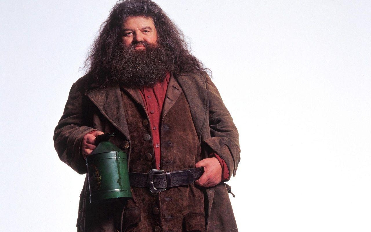 Hagrid, Film, Hintergrund, Rubeus, Bild, 1280x800 HD Desktop