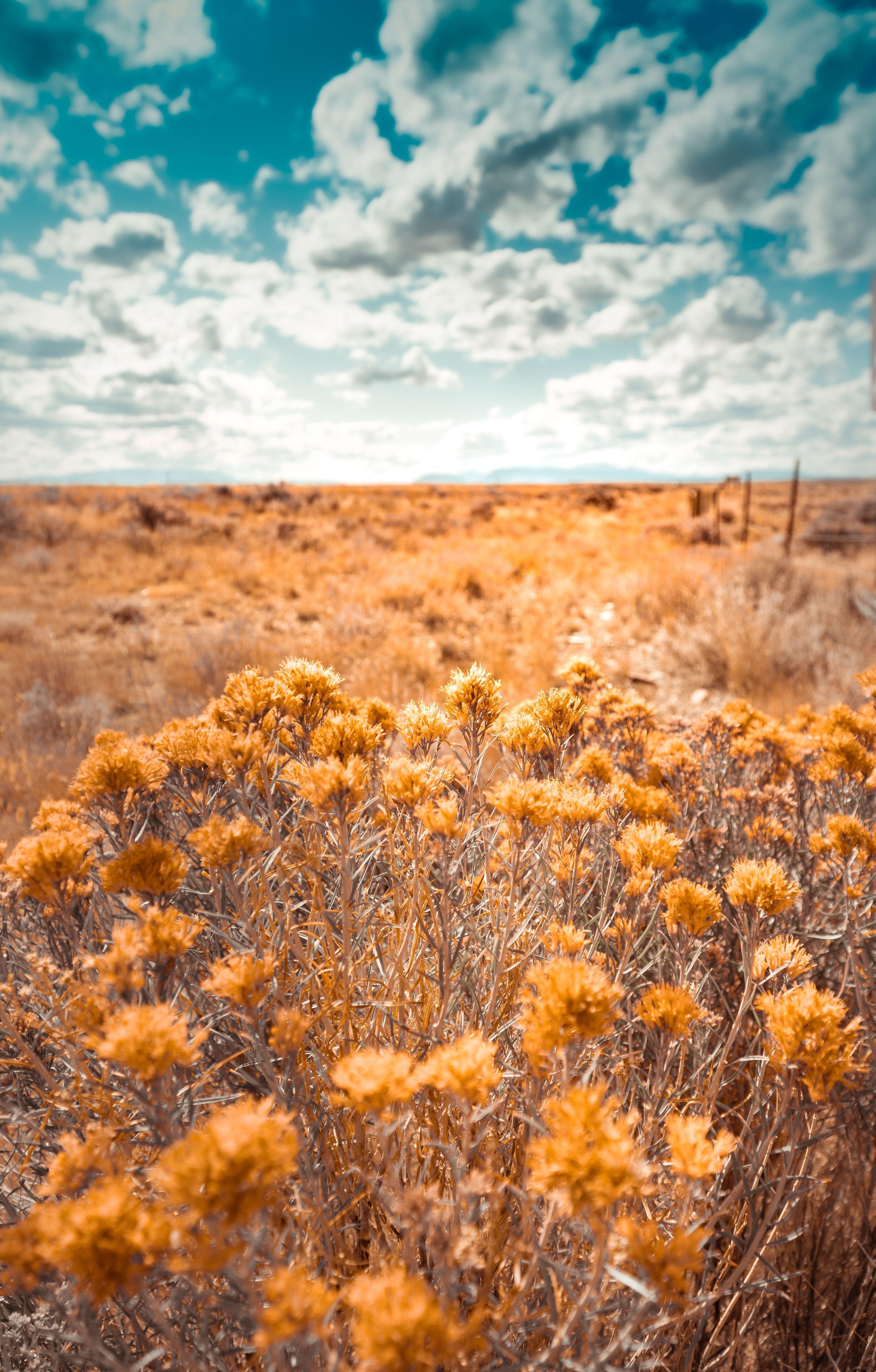 South Dakota, Reisen, Landschaft, Natur, USA, 3790x5930 4K Handy