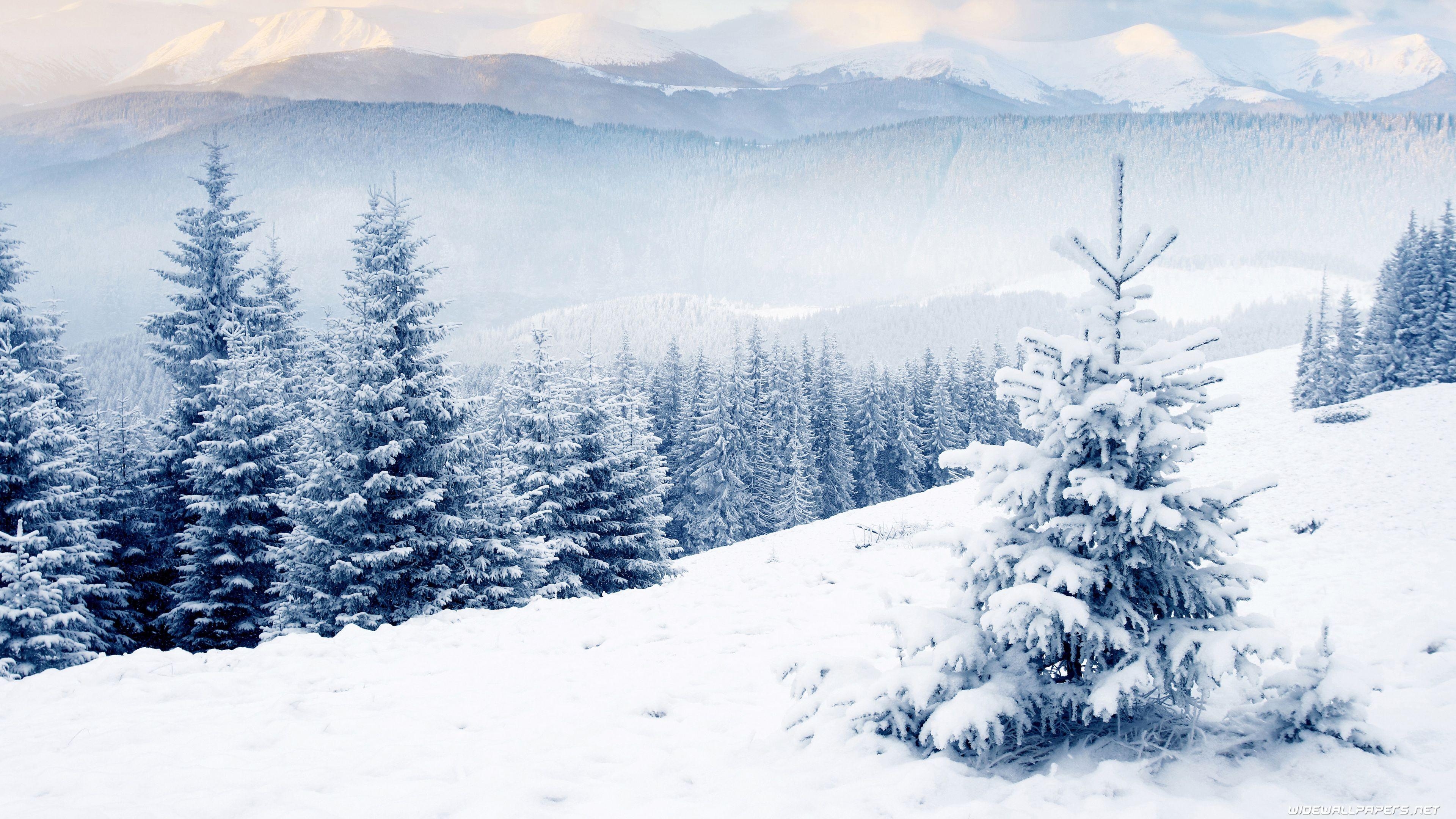 Winter, Natur, Voll HD, Schneelandschaft, Eis, 3840x2160 4K Desktop