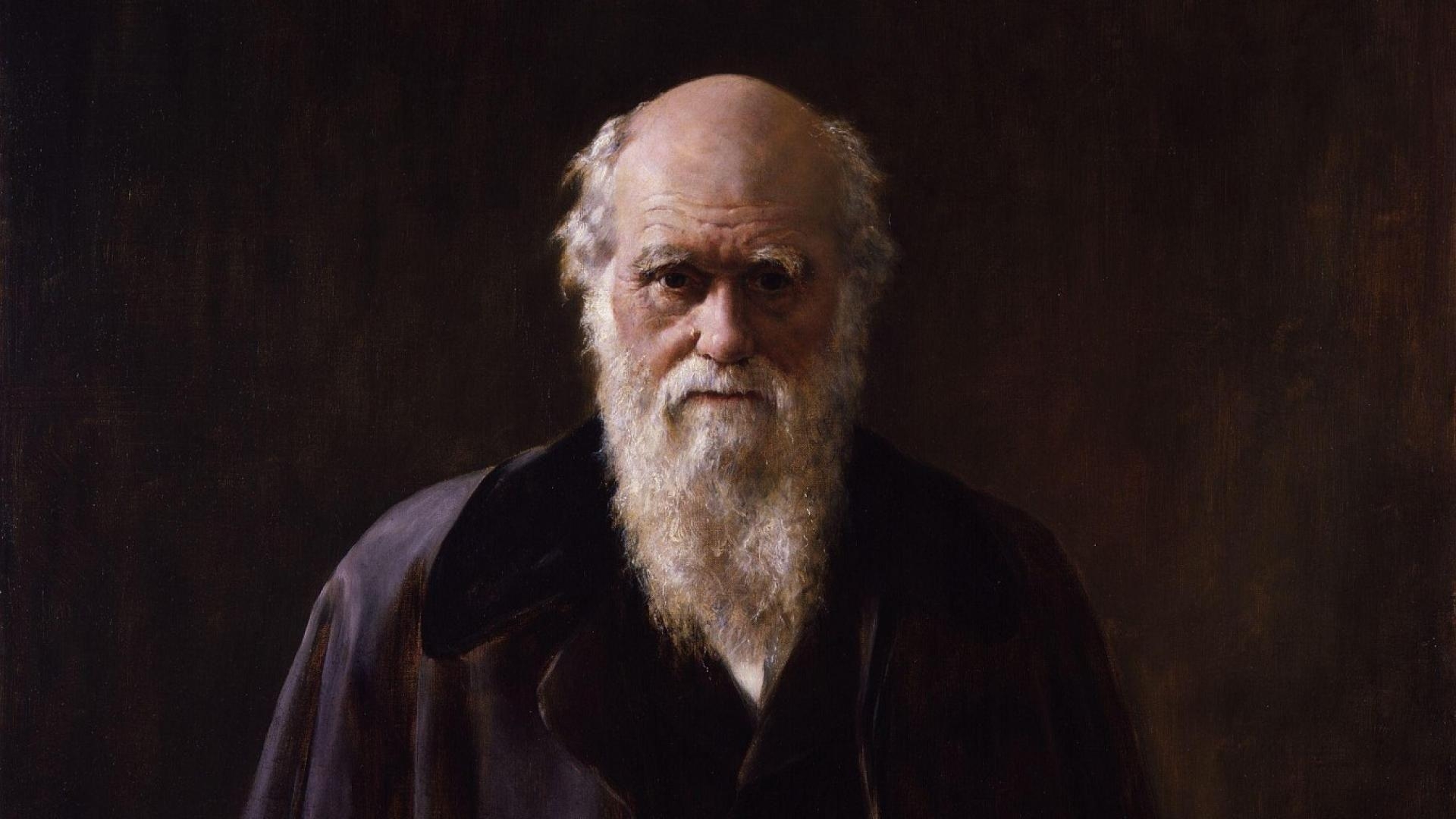 Charles Darwin, wissenschaftlicher Forscher, Evolutionstheorie, 1920x1080 Full HD Desktop