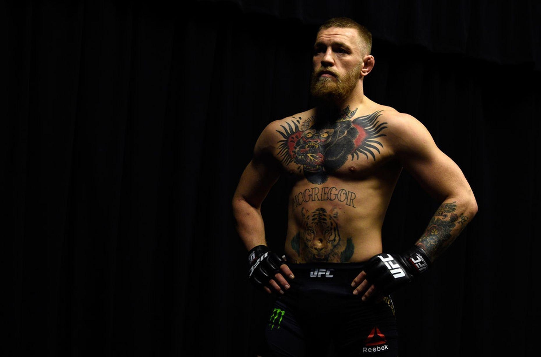 Conor McGregor, Boxen, Irland, UFC Champion, Sportikone, 1860x1230 HD Desktop