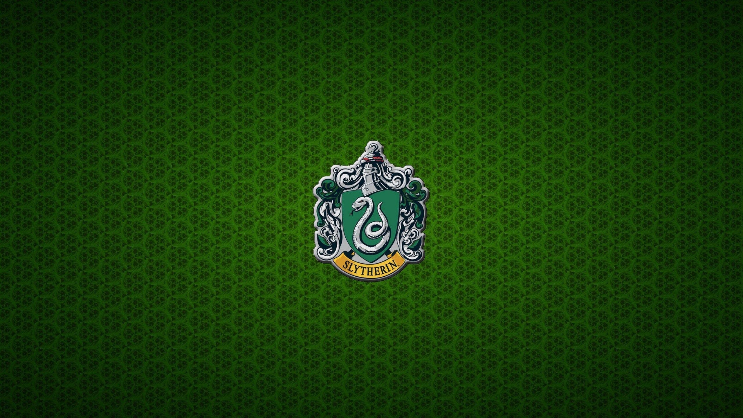 Slytherin Haus, Hogwarts, Harry Potter, Magie, Grün, 2560x1440 HD Desktop