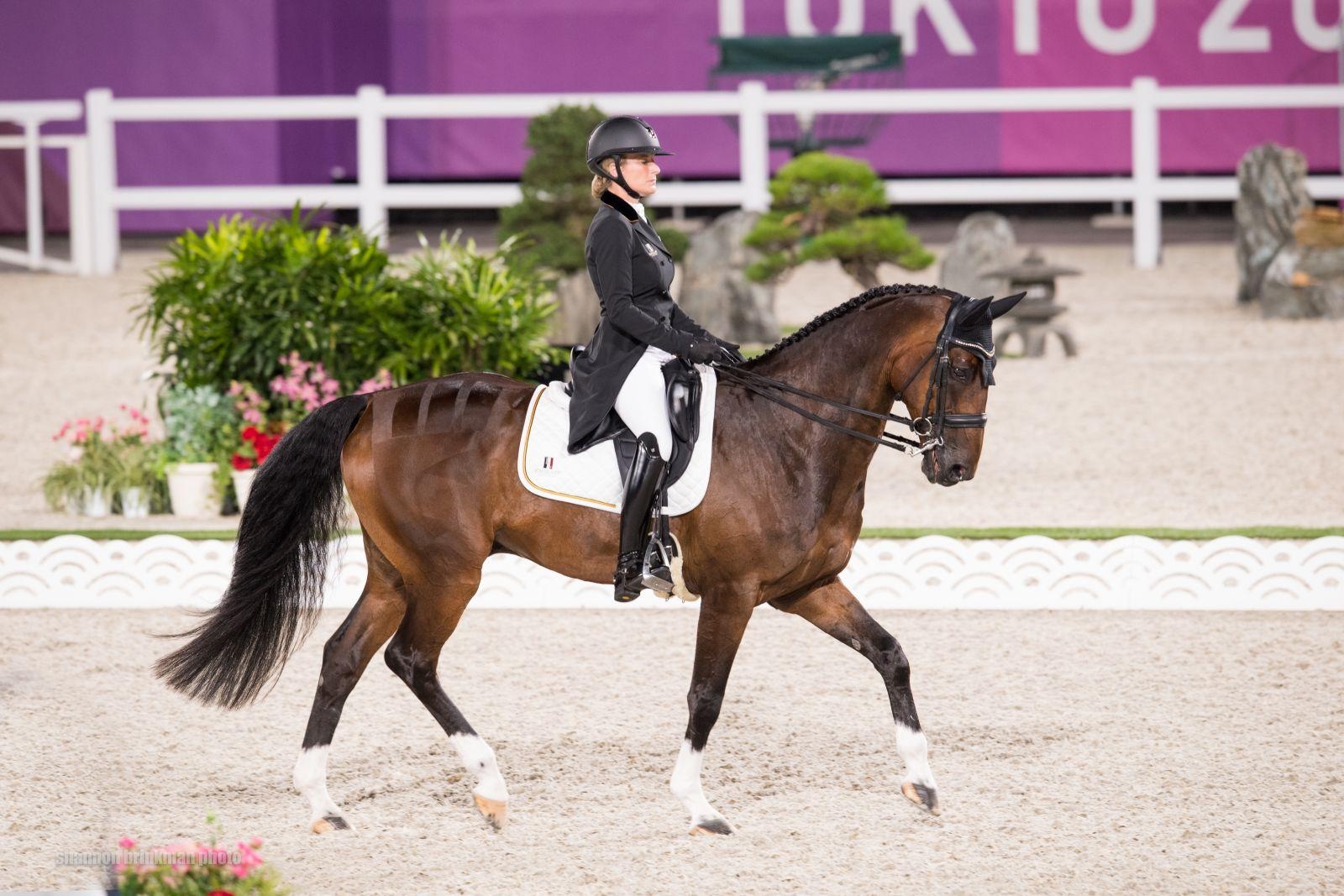 Belgien, Dressur, Rückzug, Olympia, Eventing, 1600x1070 HD Desktop