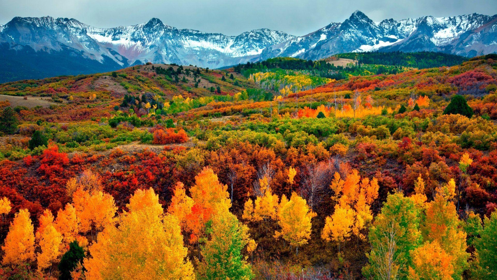 Herbst, HD, Blätter, Natur, Farbenpracht, 1920x1080 Full HD Desktop