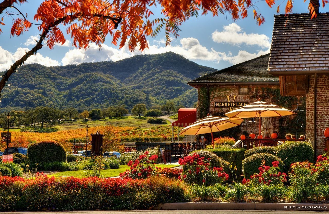 Napa Valley, Hintergrundbild, Kalifornien, Reisen, Weinberge, 1280x840 HD Desktop