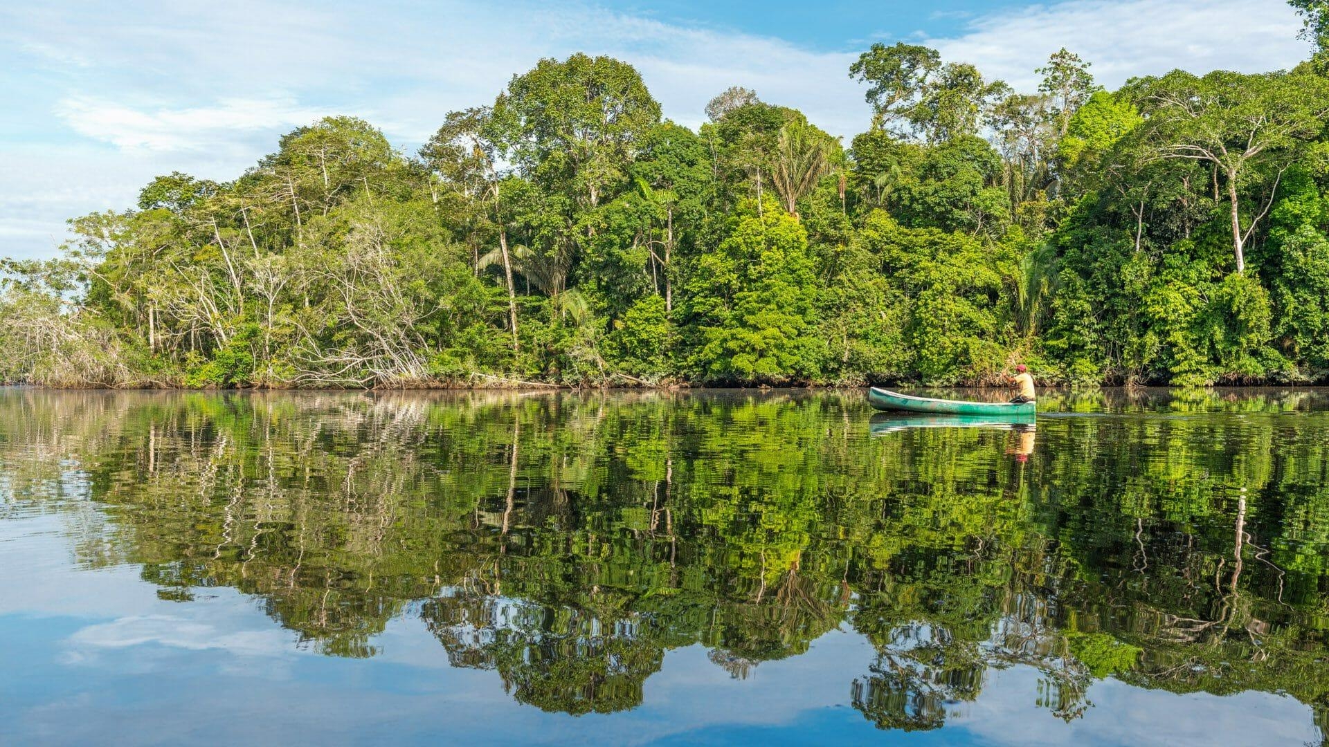 Guyana, Land der Riesen, Abenteuer, Entdeckung, Reise, 1920x1080 Full HD Desktop