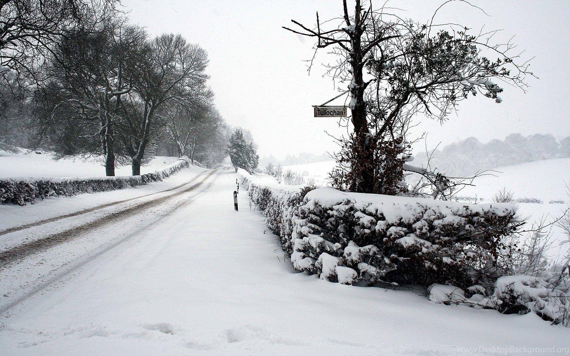 Schneefall, Natur, Winterlandschaft, Kälte, Schneegestöber, 1920x1200 HD Desktop