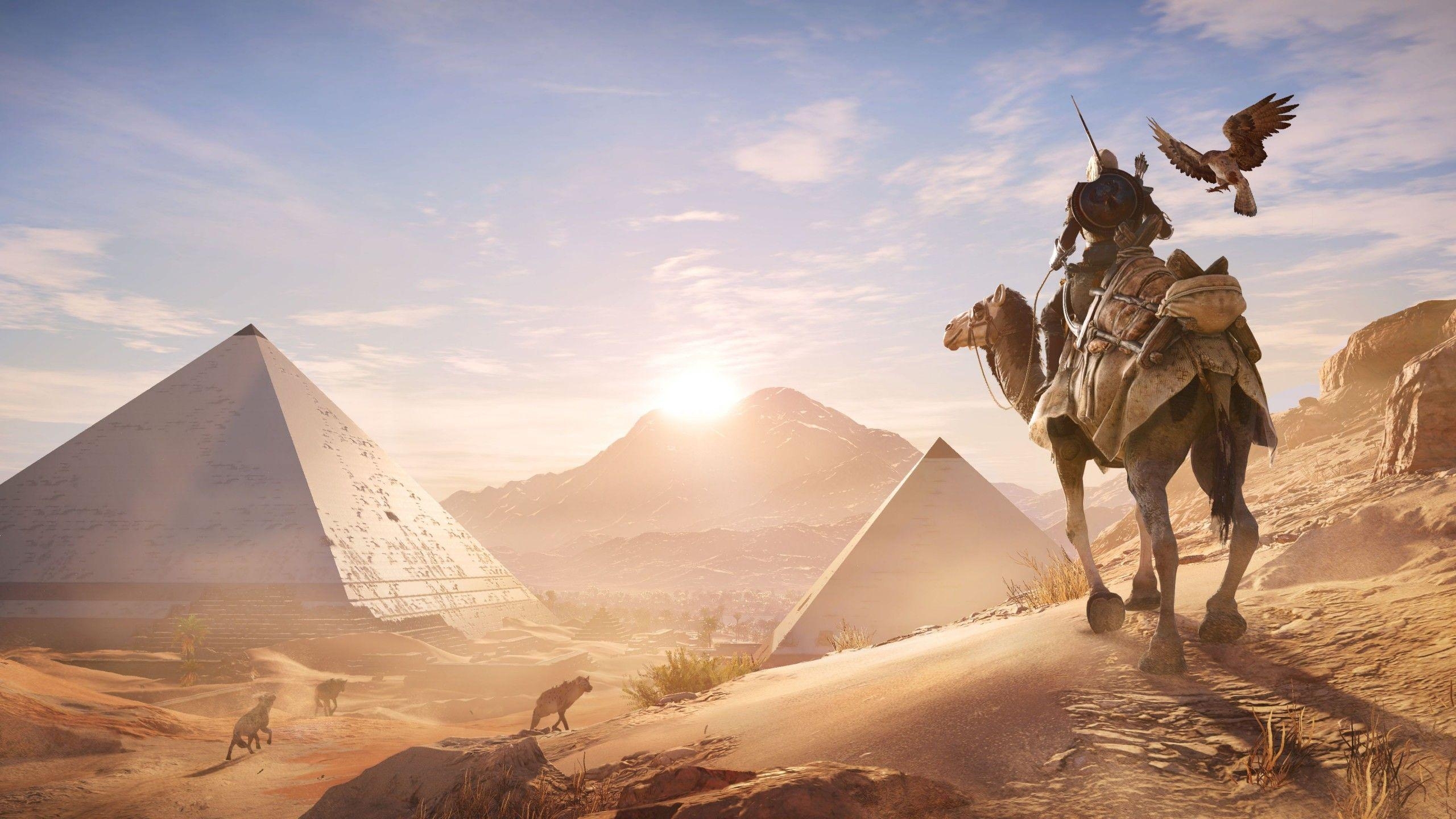 Assassins Creed, Ägypten, Bayek, 4K, Spiele, 2560x1440 HD Desktop