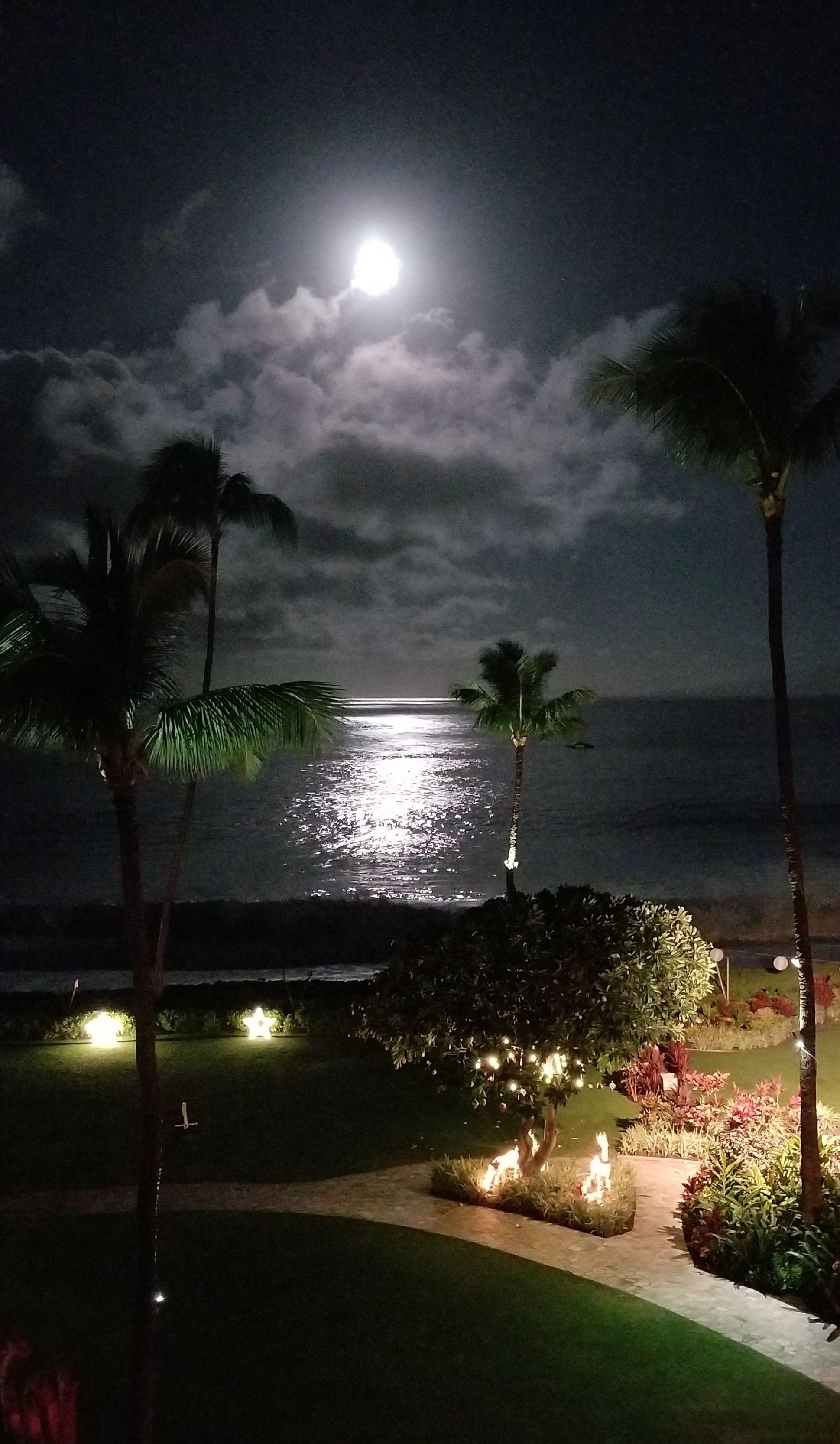 Mondnacht, Große Wellen, Lahaina Maui, Hawaii Strände, Nachtstrand, 1940x3340 HD Handy