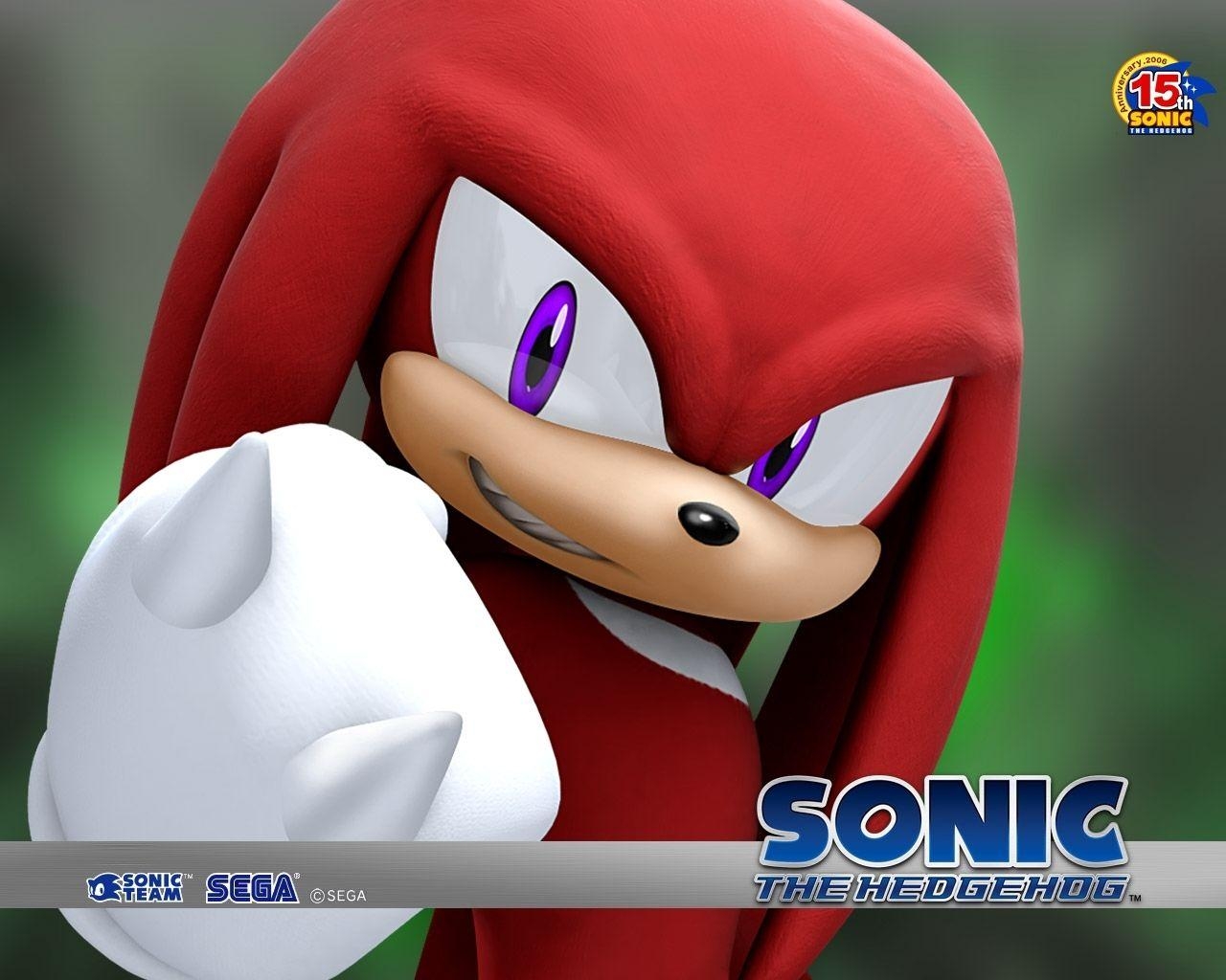 Sonic, Knuckles, Echidna, Farbe, Sega, 1280x1030 HD Desktop