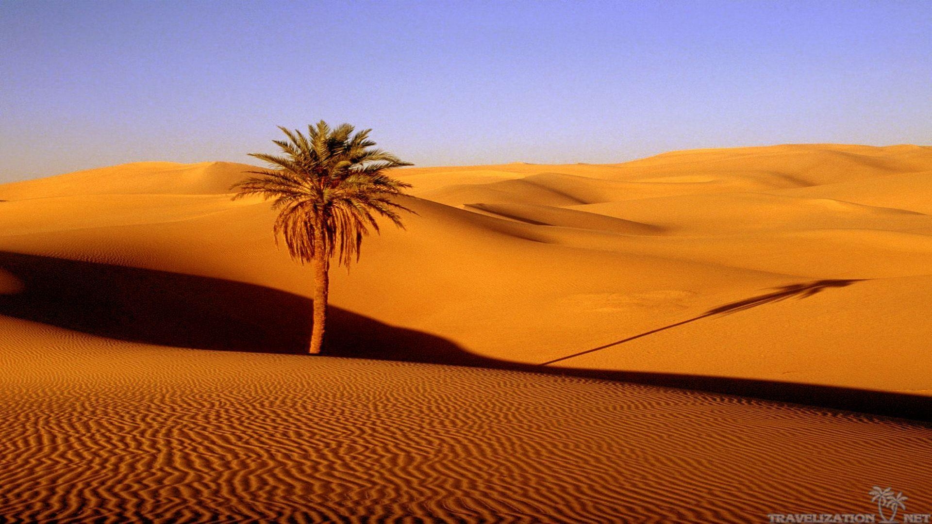 Wüste, Natur, HDQ, endlose Weite, Sand, 1920x1080 Full HD Desktop