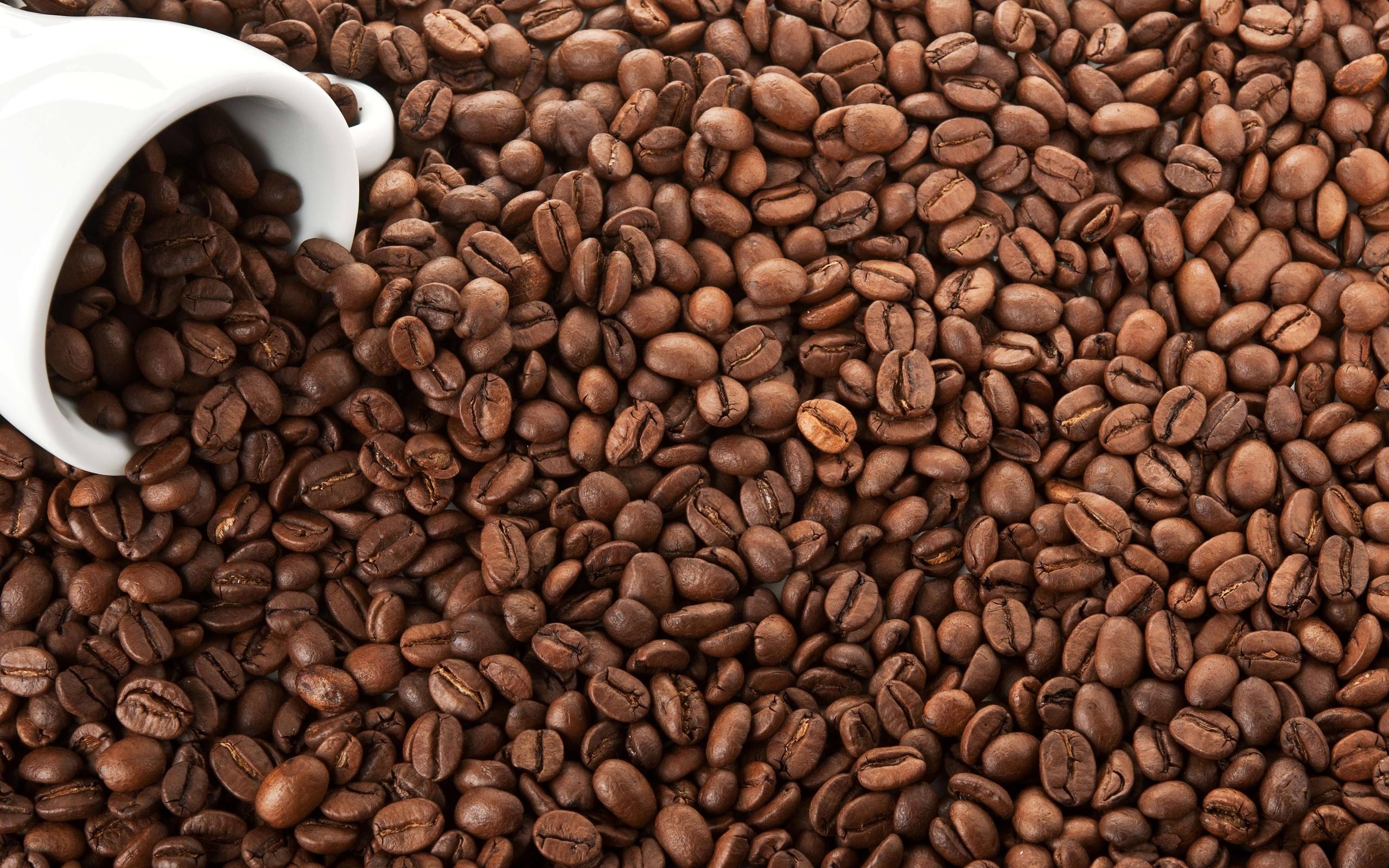 Kaffee, Lebensmittel, HD, Hintergrund, Genuss, 2560x1600 HD Desktop