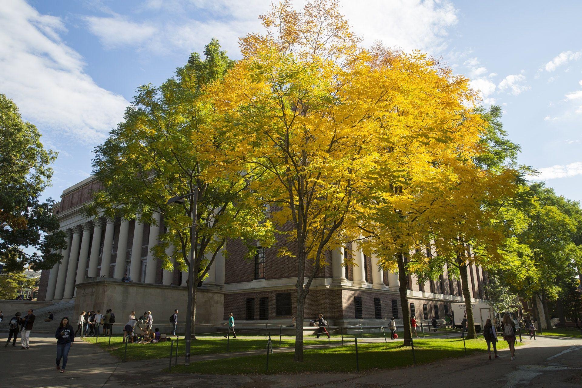 Harvard Universität, Reisen, Foto, Bildung, USA, 1920x1280 HD Desktop