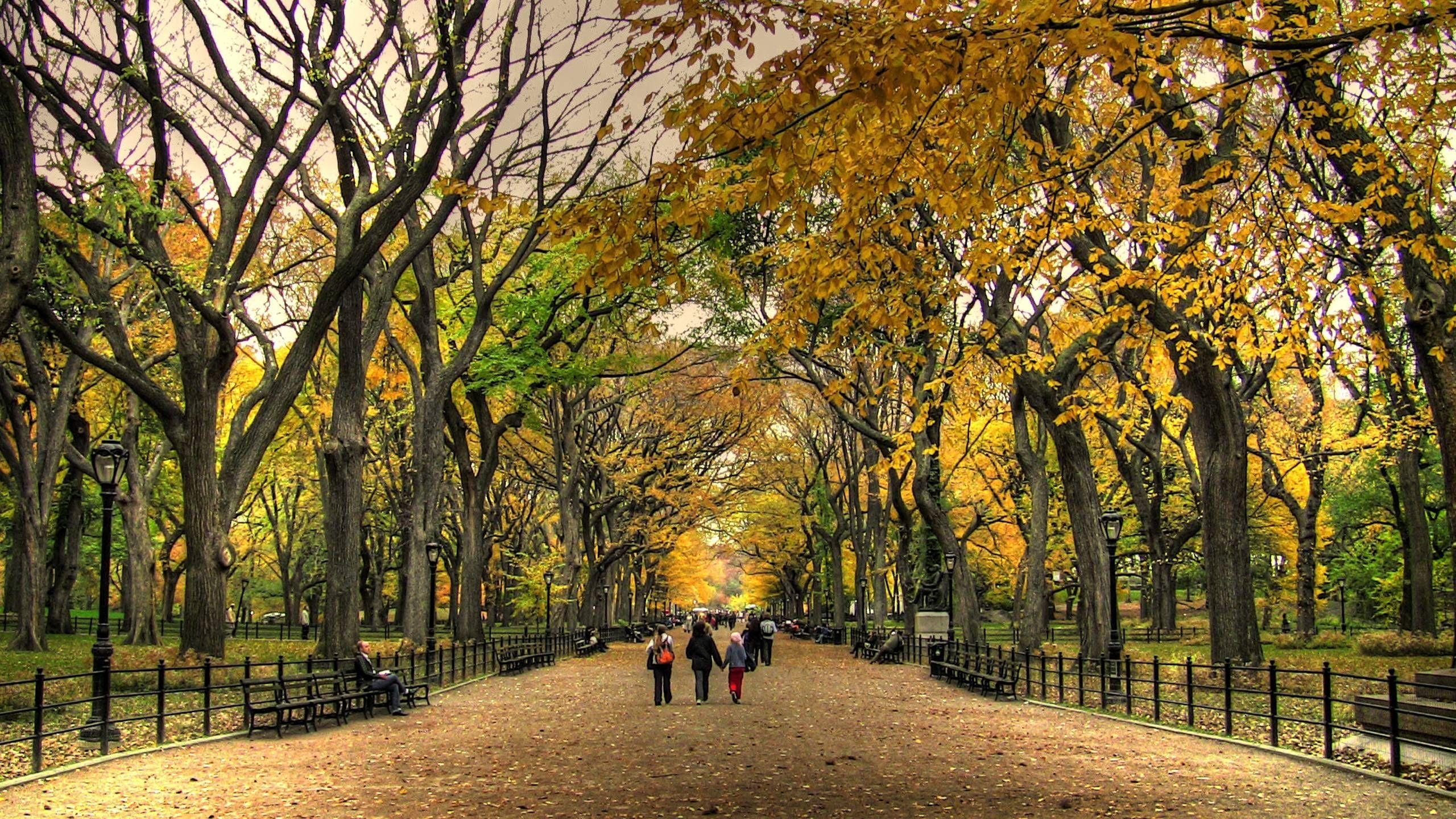 Central Park, Bild, Fotografie, Hintergrund, Reisen, 2560x1440 HD Desktop