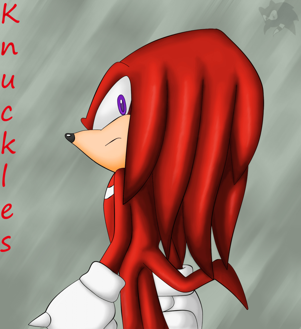 Knuckles, Fan Art, Sonic, Held, Kreativität, 1030x1120 HD Handy