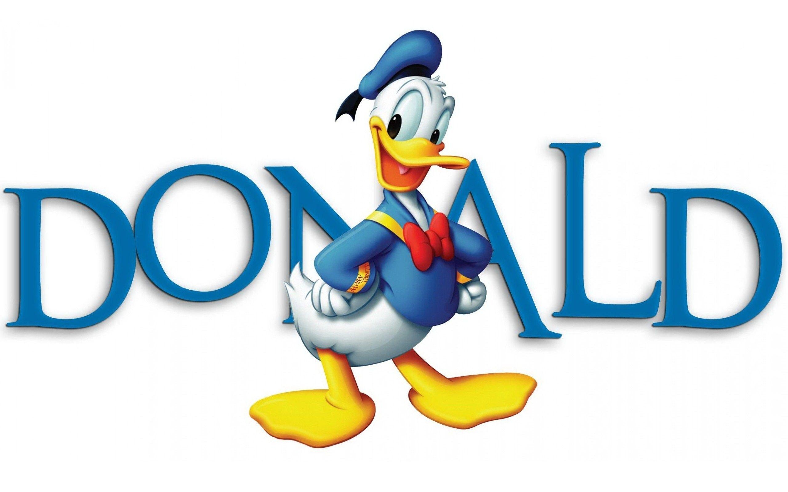 Donald Duck, HD, Zeichentrickfigur, Lustige Ente, Hintergrund, 2560x1600 HD Desktop