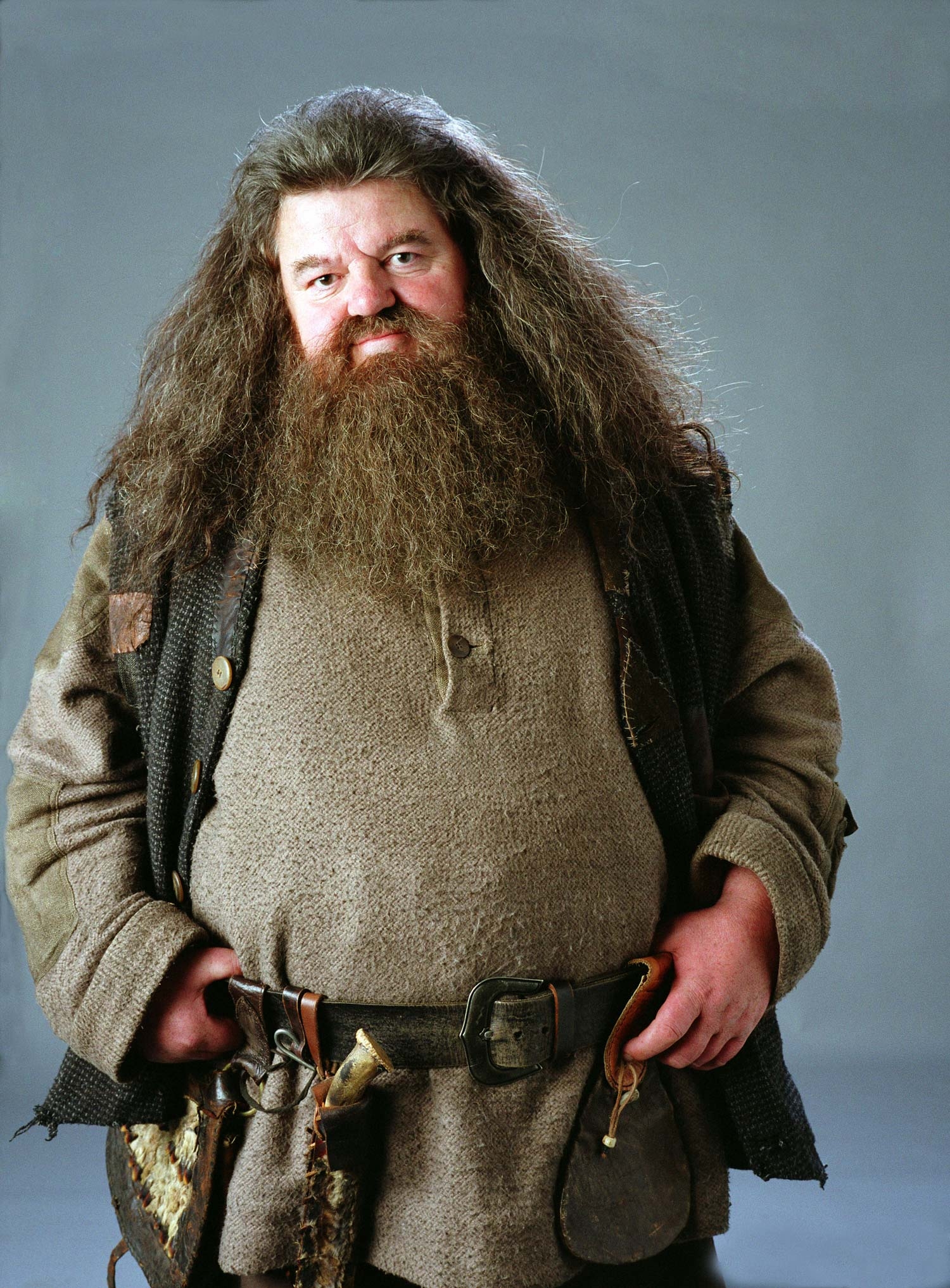 Rubeus Hagrid, Filme, Zauberer, Hintergrund, Harry Potter, 1500x2040 HD Handy