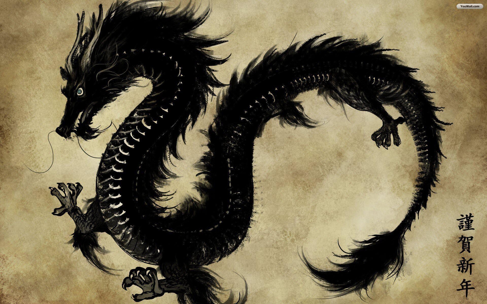 Schwarzer Drache, Kollektion, Fantasy, Mythisch, Kunst, 1920x1200 HD Desktop