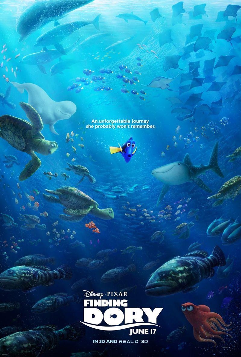 Findet Dorie, Weitbild, HD, Desktop Hintergrund, Disney Pixar, 800x1190 HD Handy