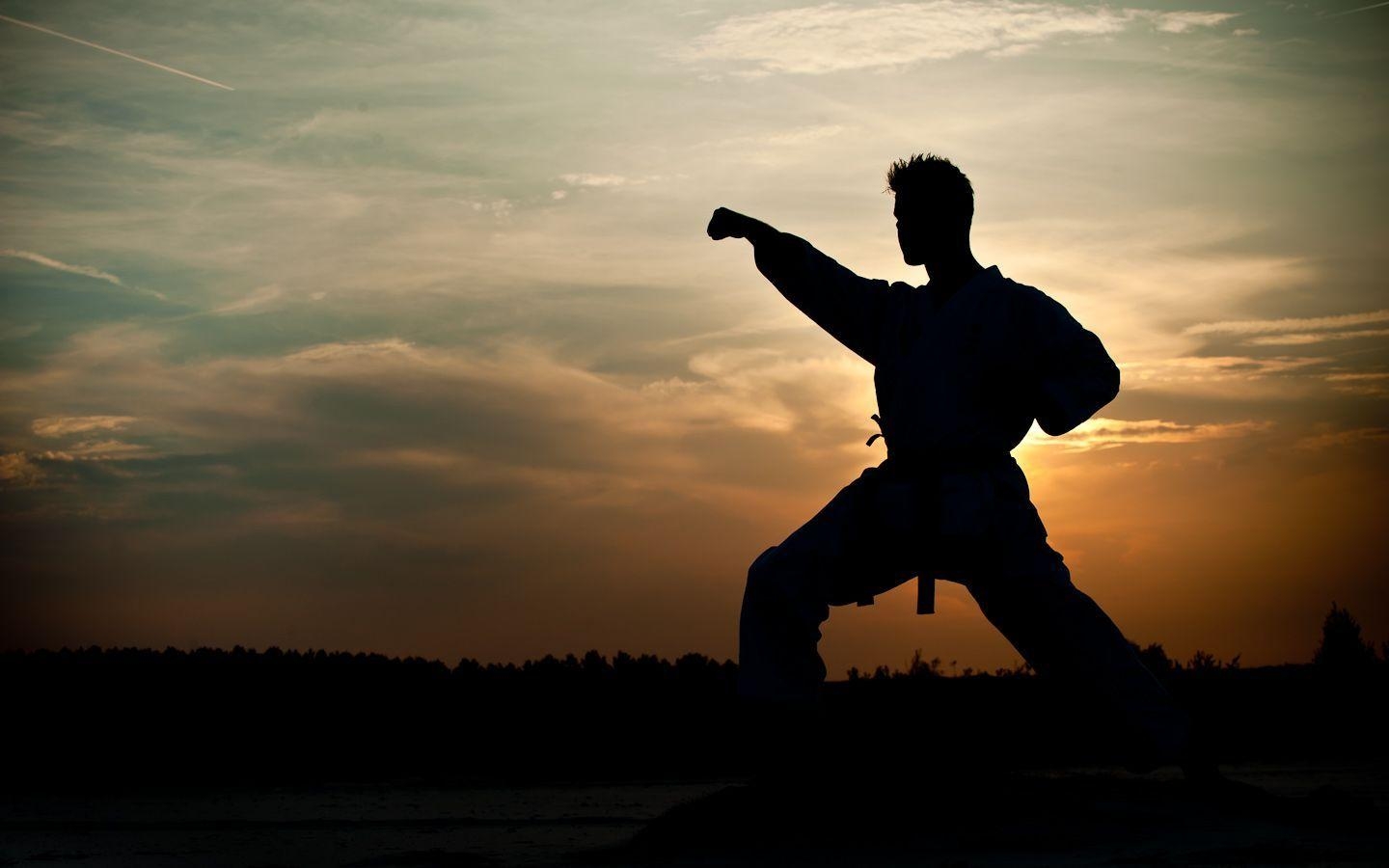 Karate, HDQ, Bild, Sport, Hintergrund, 1440x900 HD Desktop