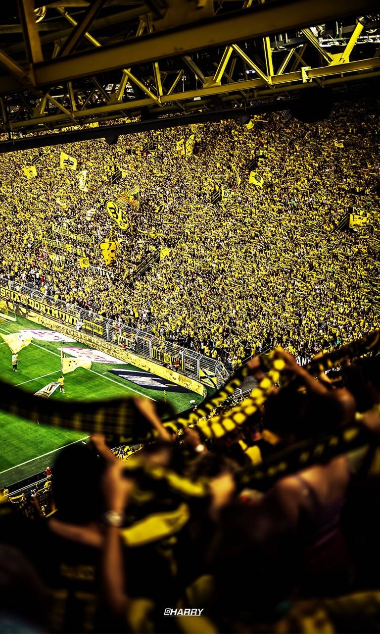 Borussia Dortmund, Borussia-Park, Fans, Gelb-Schwarz, 770x1280 HD Handy