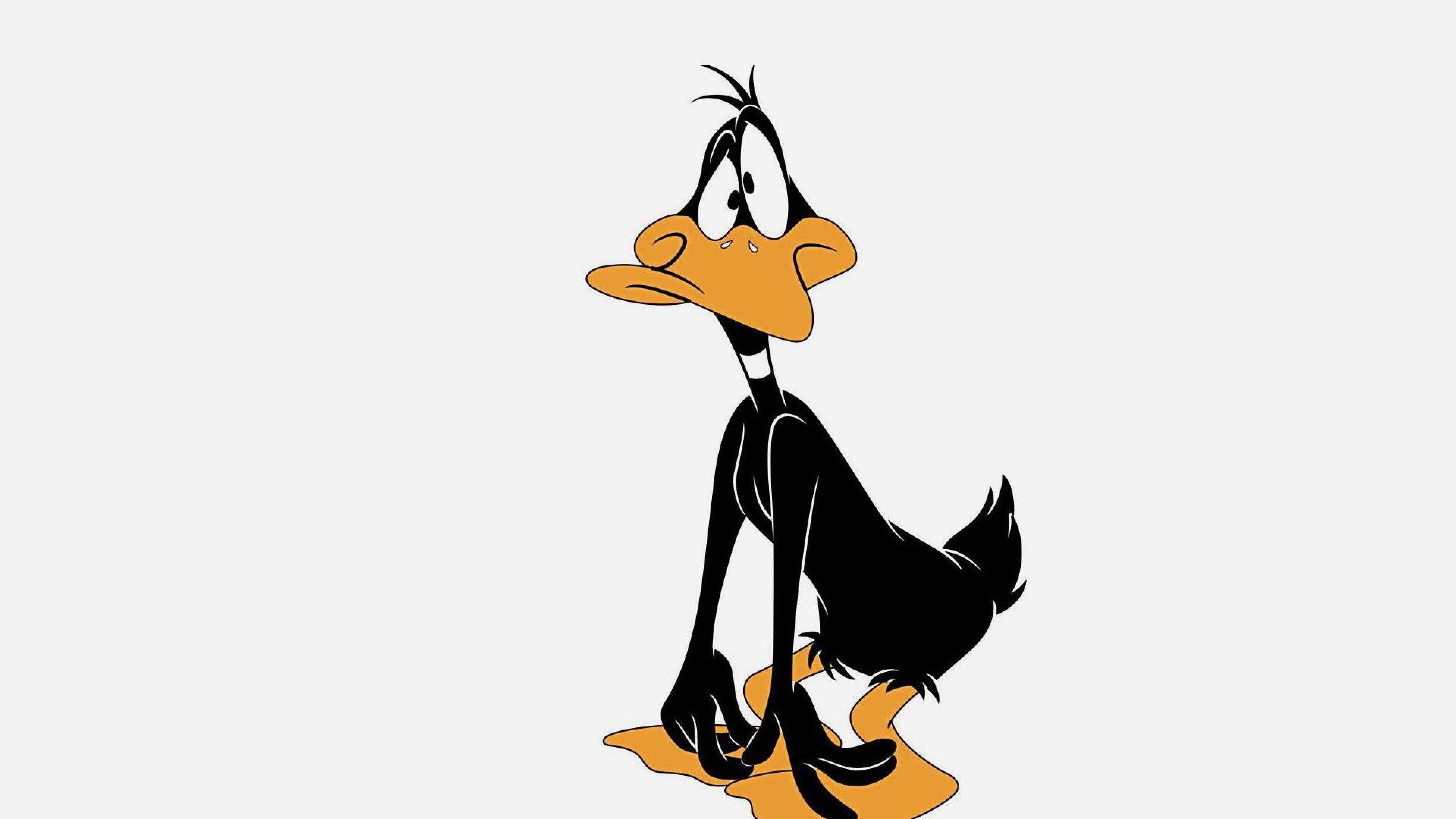 Daffy Duck, Cartoon, Comic, Bild, Attraktiv, 3840x2160 4K Desktop