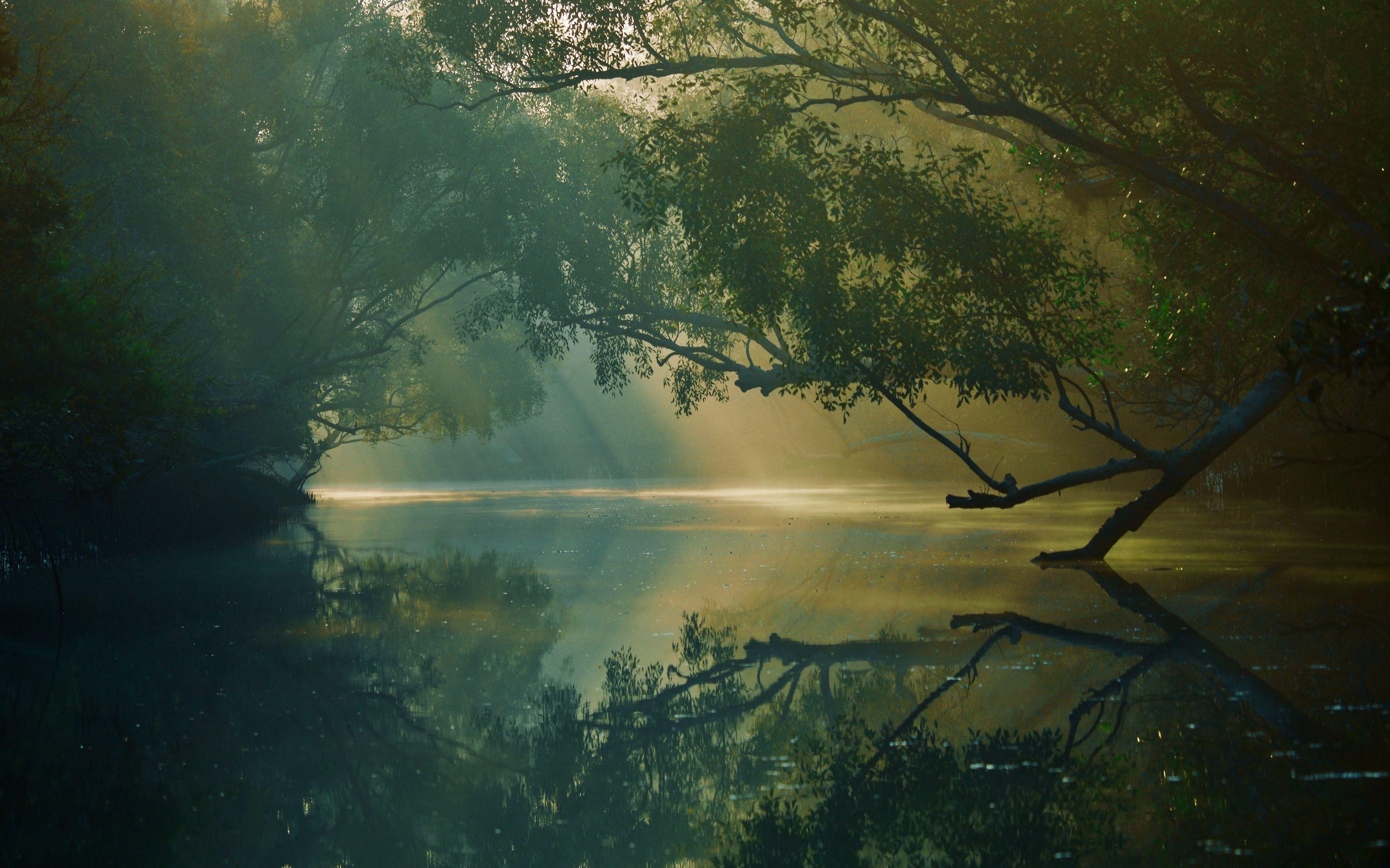 Bangladesch, Reisen, Fluss, Wald, Spiegelung, 3840x2400 4K Desktop