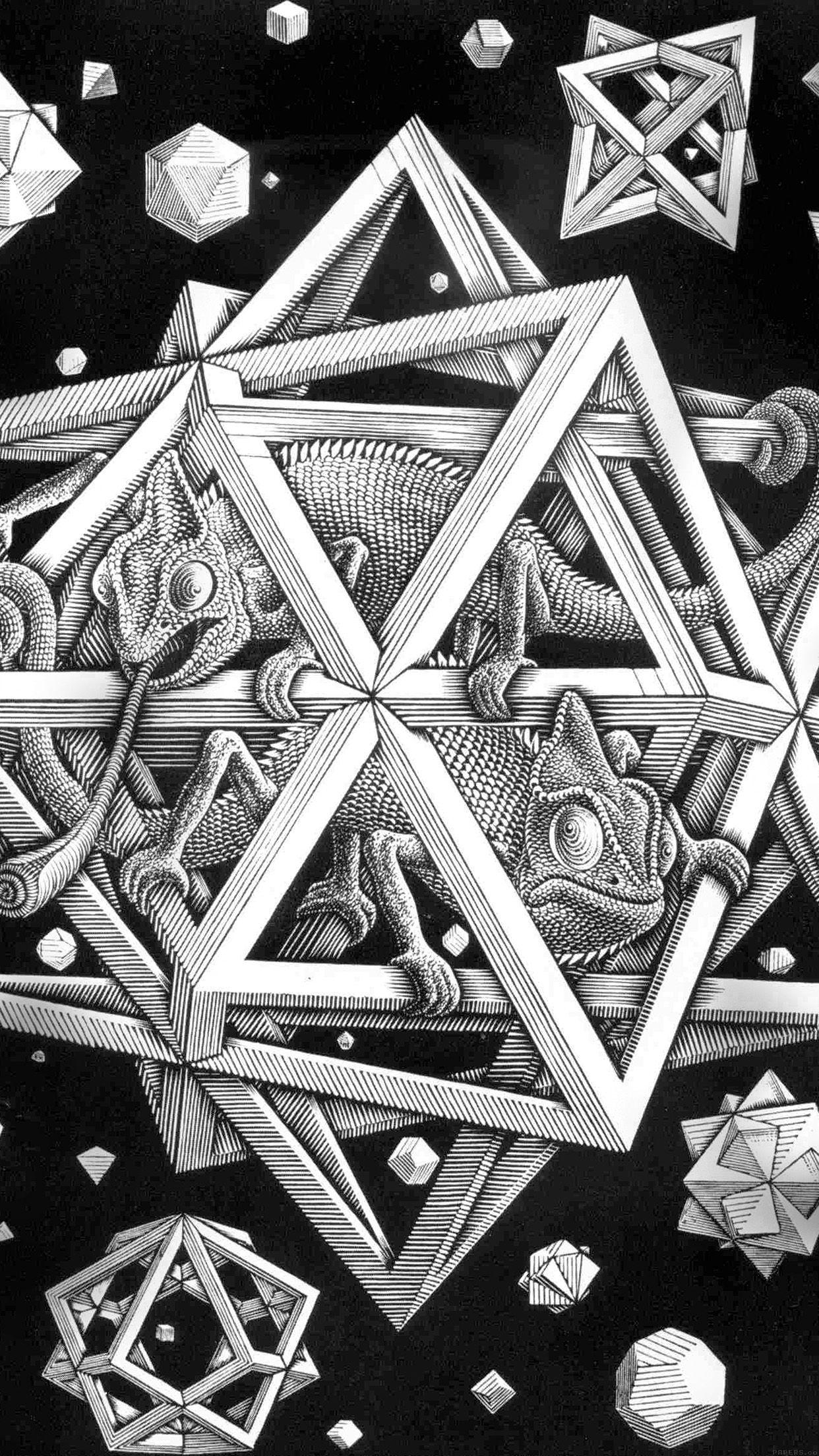 Escher, Raumkunst, Illust, Echse, Schwarz-Weiß, 1250x2210 HD Handy