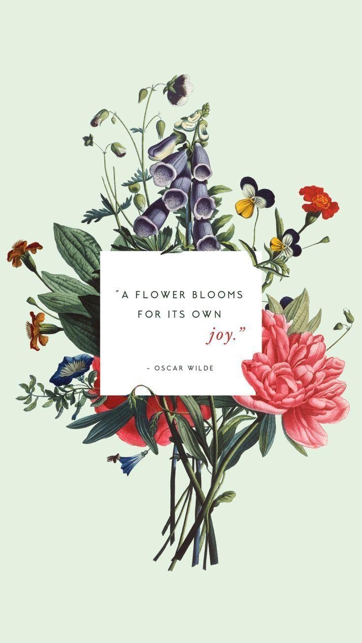 Oscar Wilde, Blumen, Zitat, Inspiration, Frühling, 740x1310 HD Handy