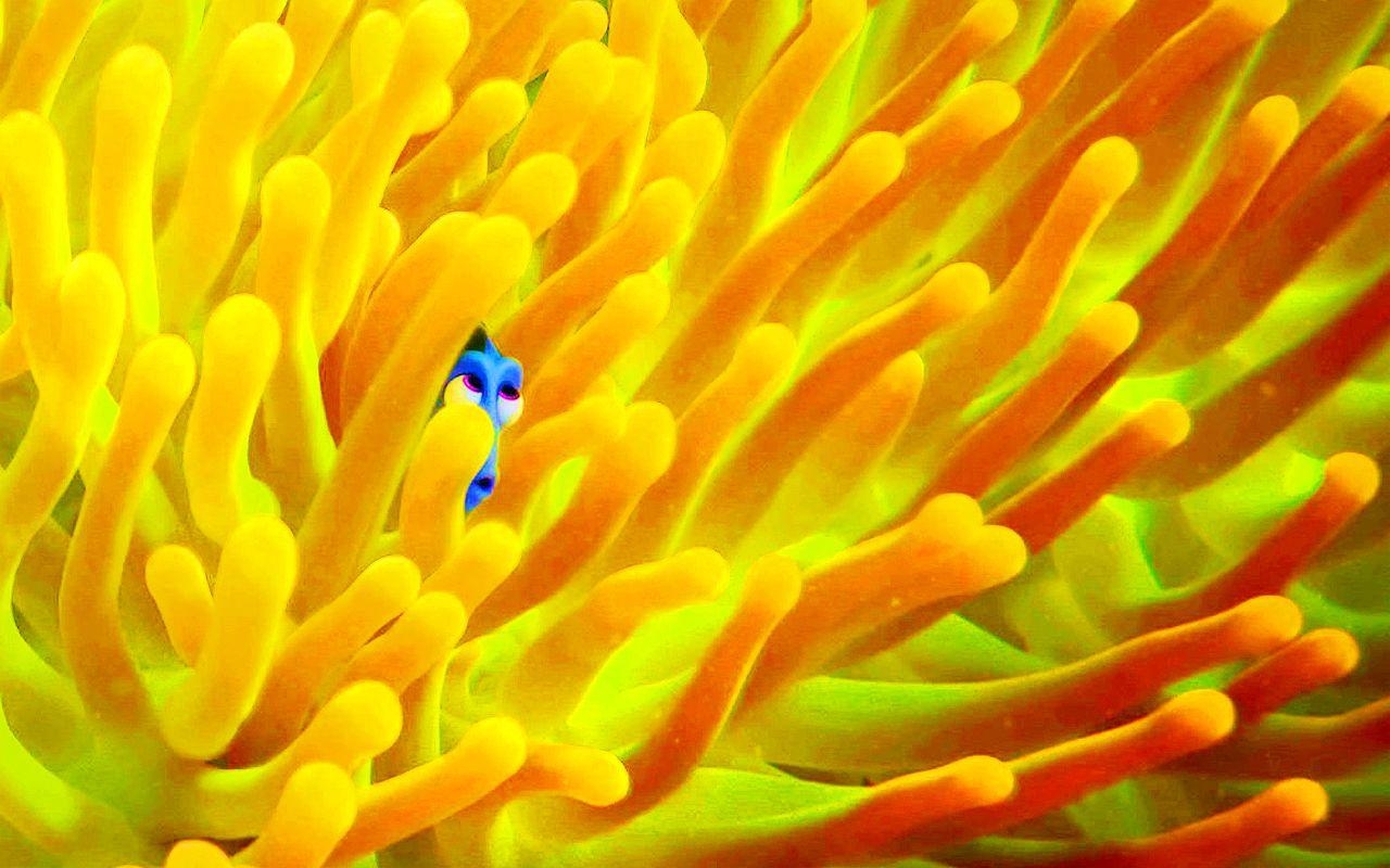 Findet Dorie, Dorie, Zeichentrick, Nemo, Hintergrund, 1280x800 HD Desktop