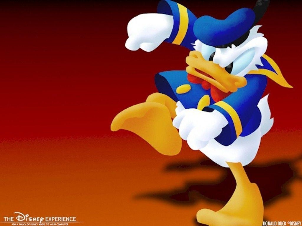 Donald Duck, Cartoon, Lustige Ente, Comic, Disney, 1030x770 HD Desktop