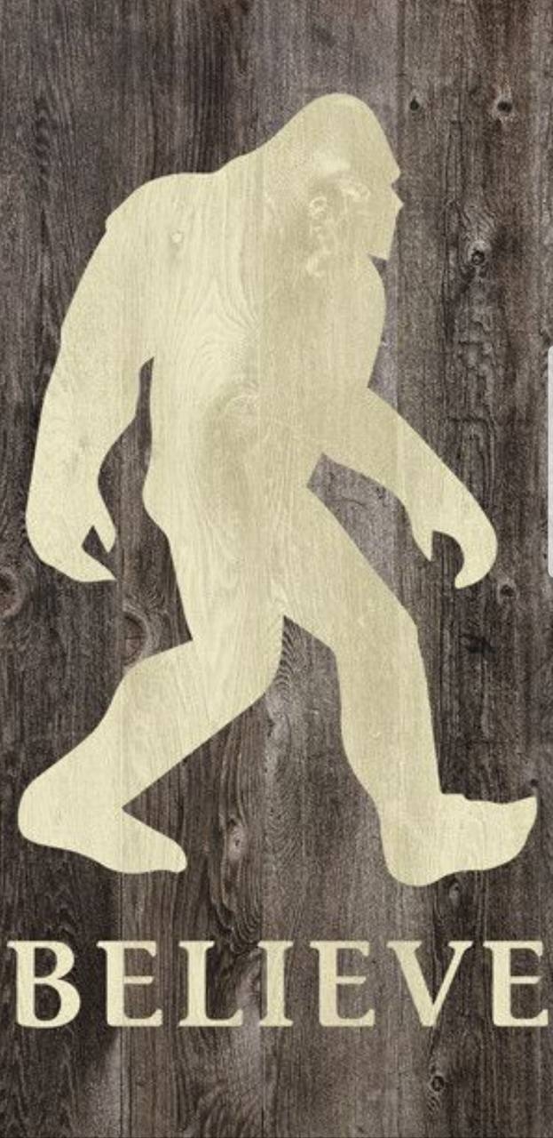 Bigfoot, Mythus, Detailreich, Kreatur, Wald, 630x1280 HD Handy