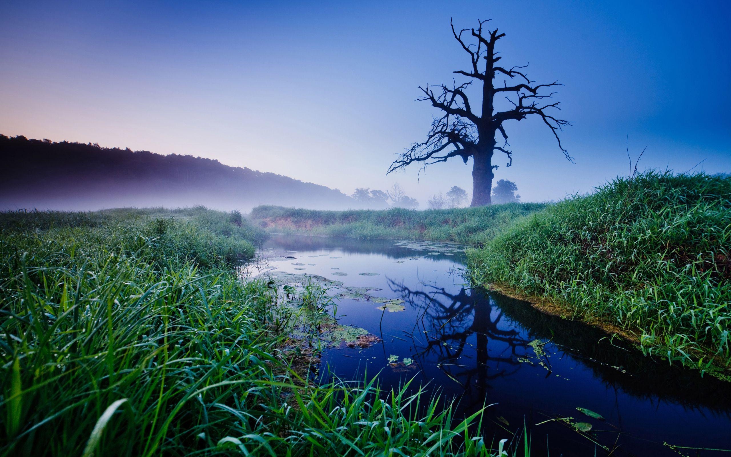 Polen Reisen, Landschaft, HD Bilder, Europa, 2560x1600 HD Desktop