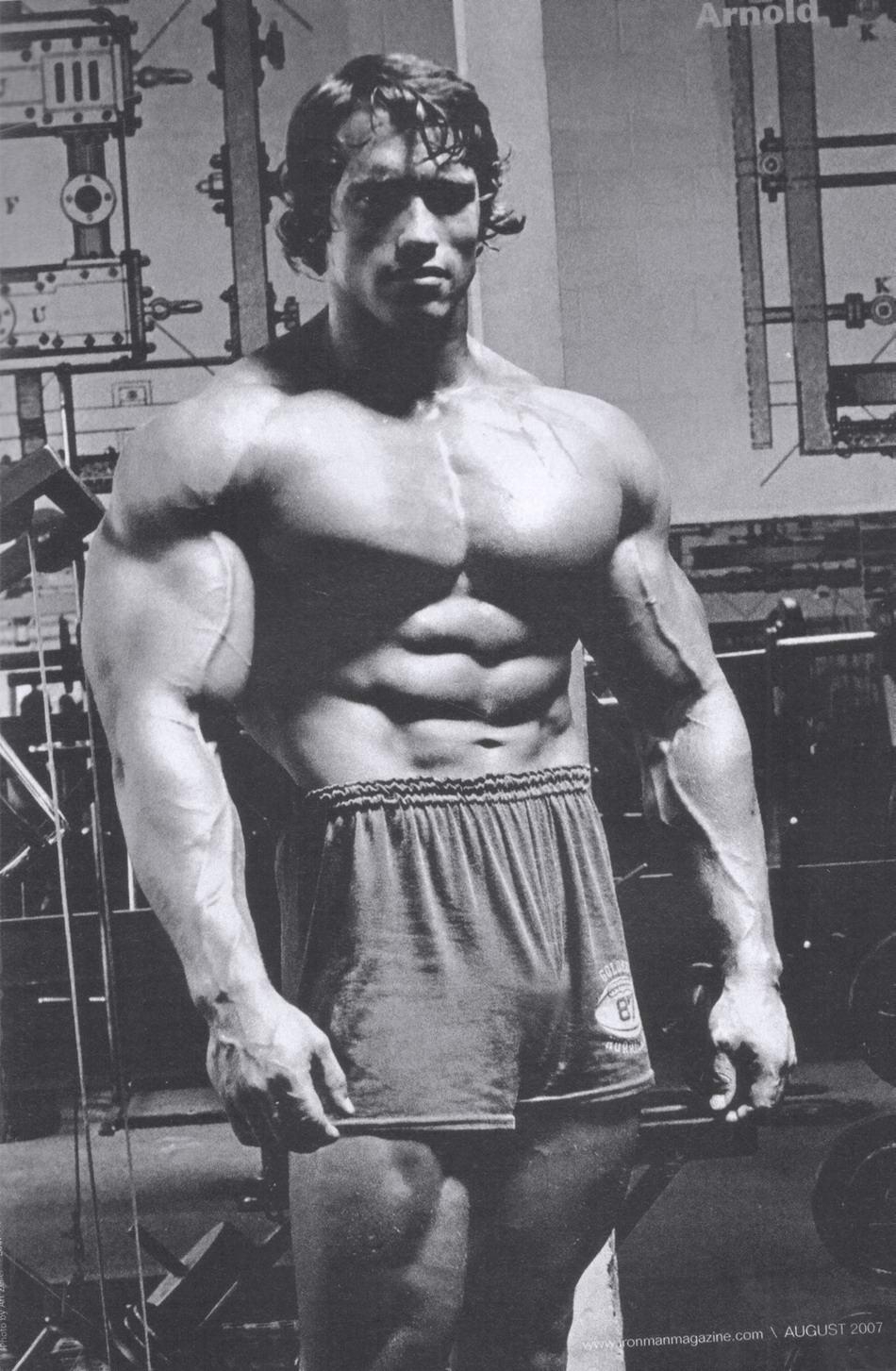 Arnold Schwarzenegger, Bodybuilding, Ikone, Beste Galerie, Fitness, 950x1460 HD Handy