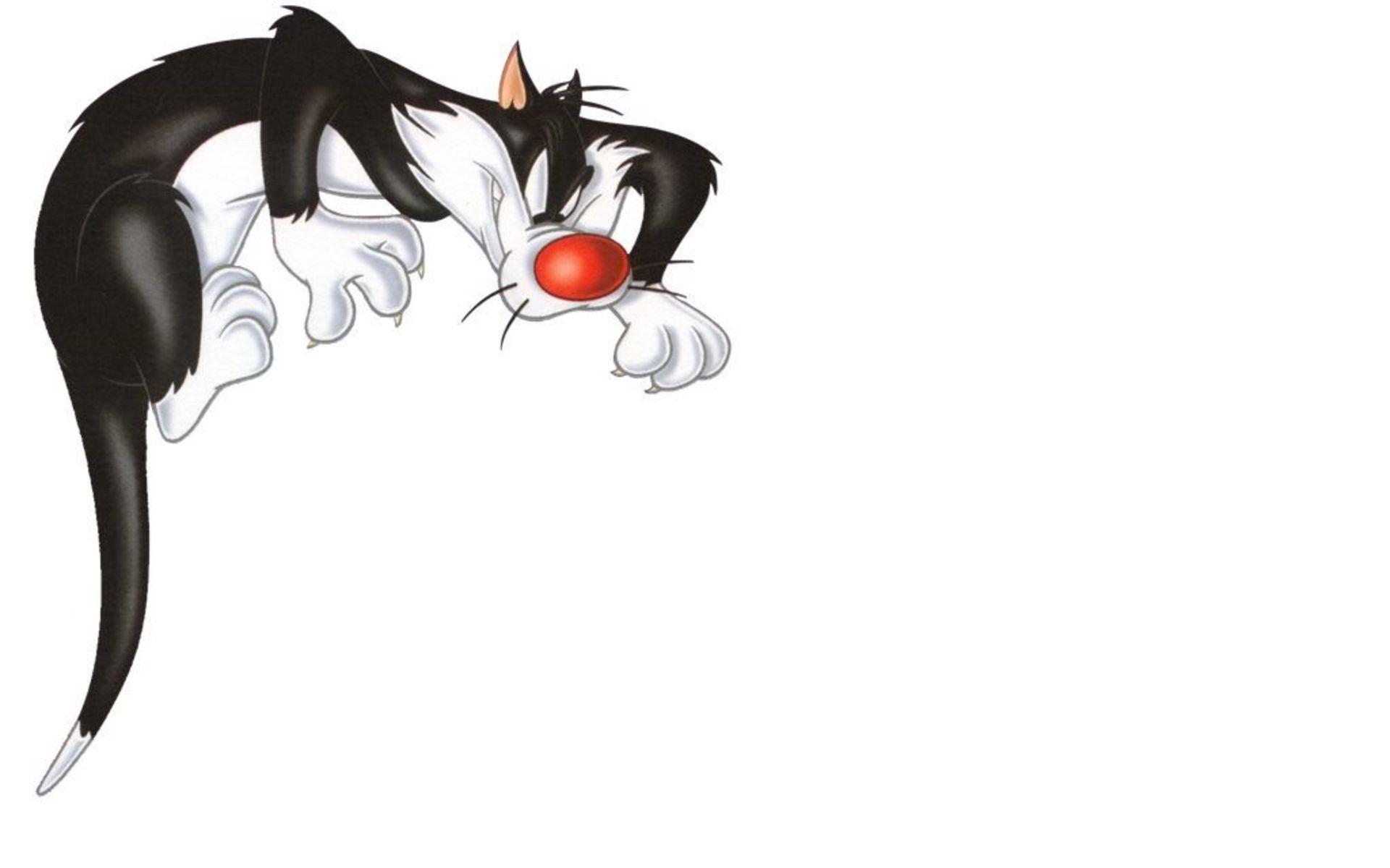 Sylvester, Looney Tunes, HD, 1200px, Hintergrund, 1920x1200 HD Desktop