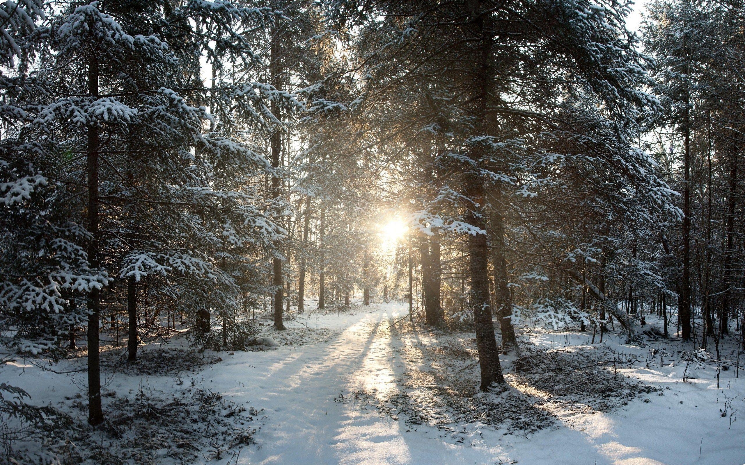 Wisconsin, Reisen, Hintergrund, Natur, USA, 2560x1600 HD Desktop