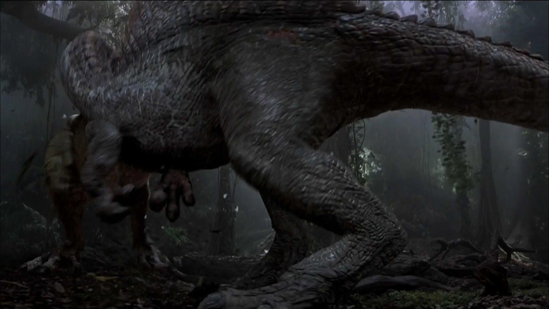 Velociraptor, Jurassic Park 3, Dinosaurier, Hintergrund, Bild, 1920x1080 Full HD Desktop