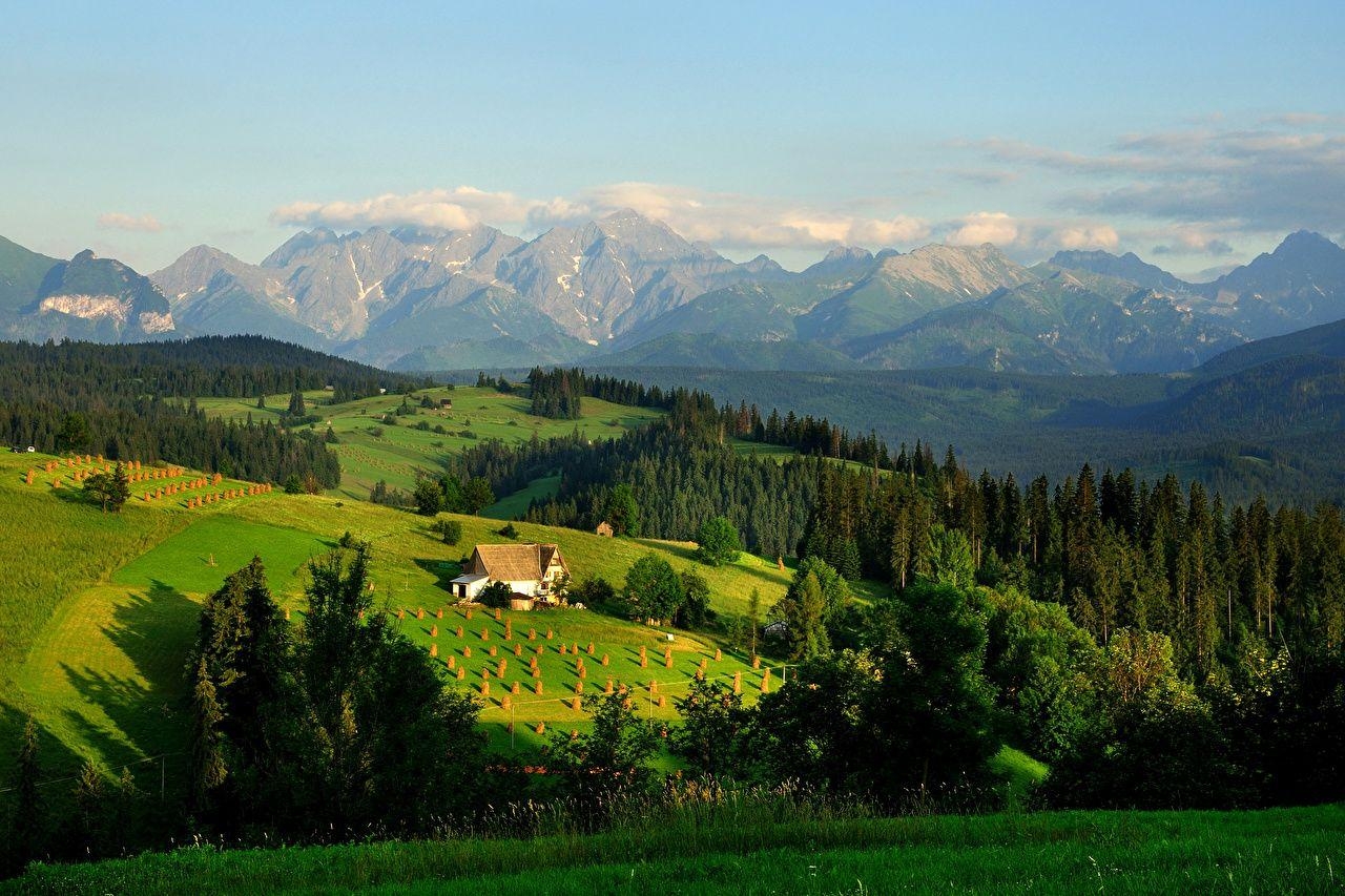 Polen, Tatra-Gebirge, Natur, Felder, Wälder, 1280x860 HD Desktop