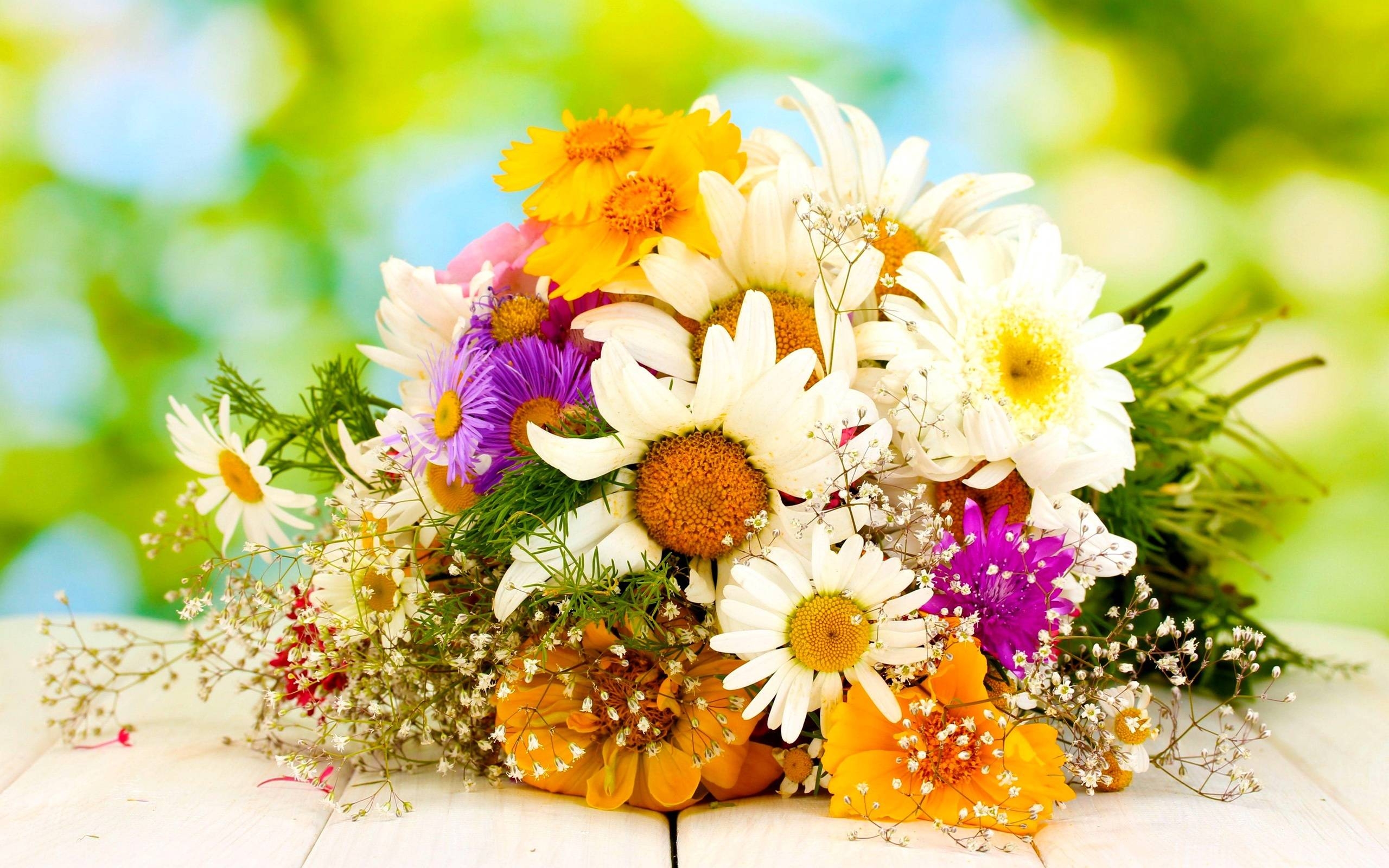 Blumenstrauß, Natur, Bouquet, Blumen, Wallpaper, 2560x1600 HD Desktop