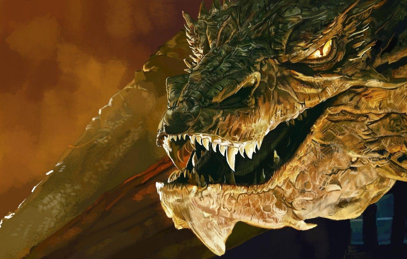 Smaug, Drache, Kunst, Herr der Ringe, Hobbit, 1340x850 HD Desktop